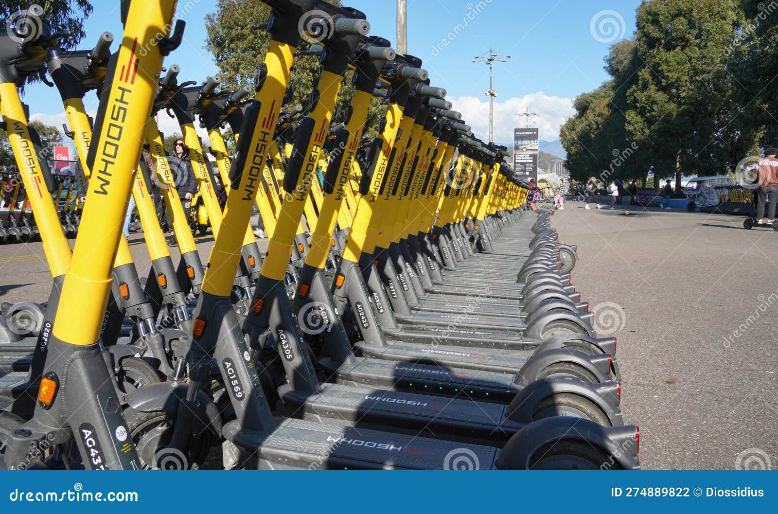 Yellow Electric Scooters Stand in Two Rows, Rental Scooters, City Scooters for Rent and Movement