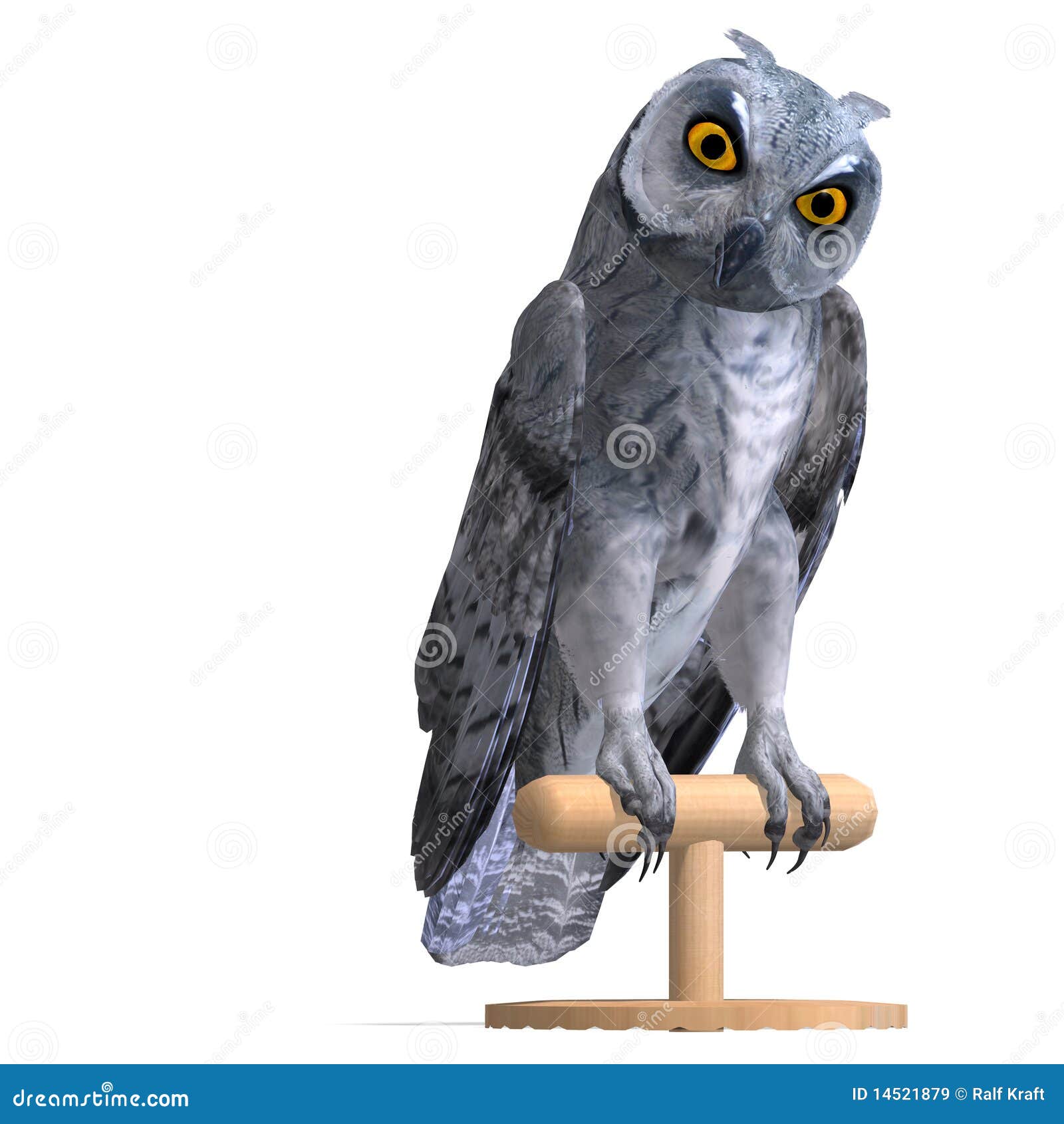 scops owl bird. 3d rendering with clipping path