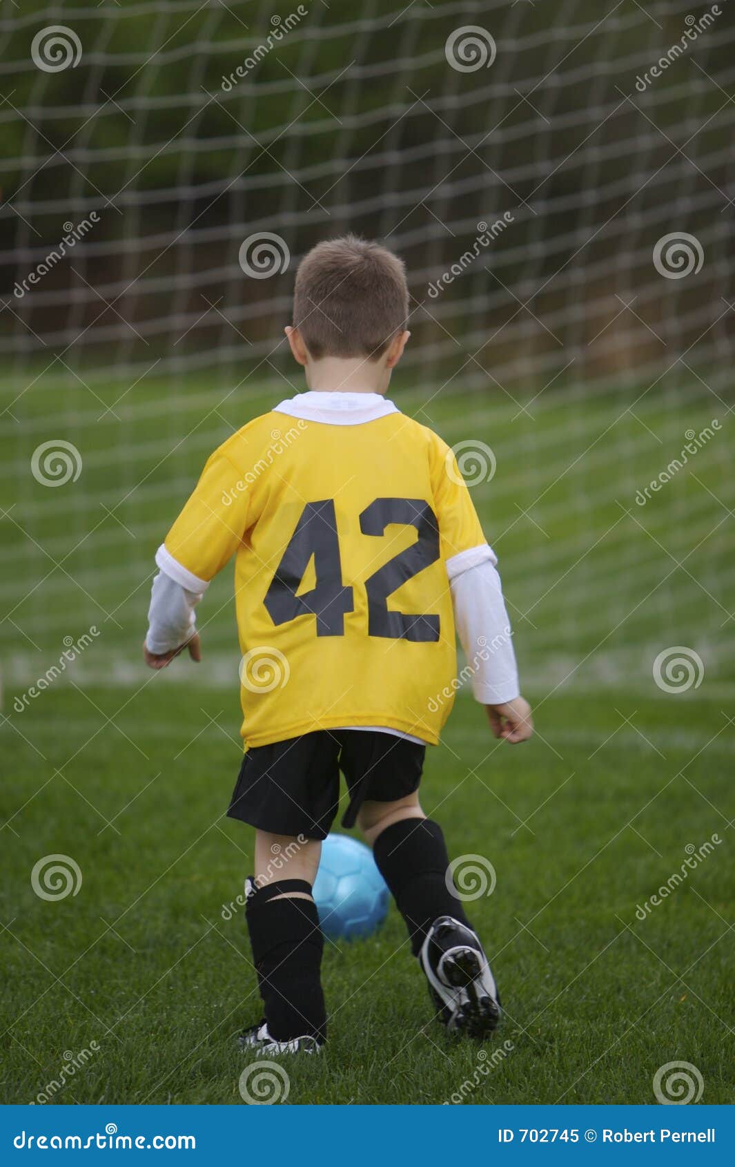 Scoring Goal stock image. Image of game, male, goal, field 702745