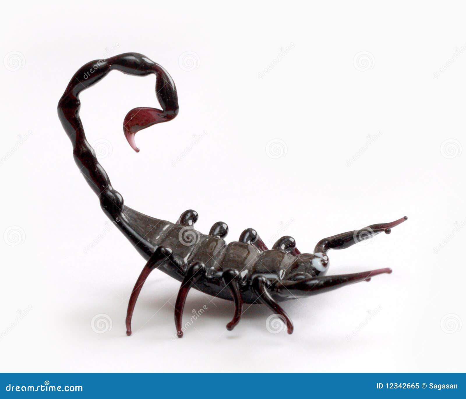 1,453 Scorpio Animal Stock Photos - Free & Royalty-Free Stock Photos from  Dreamstime