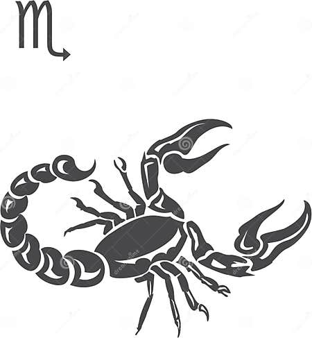 Scorpio stock vector. Illustration of draw, zodiac, sign - 3374058