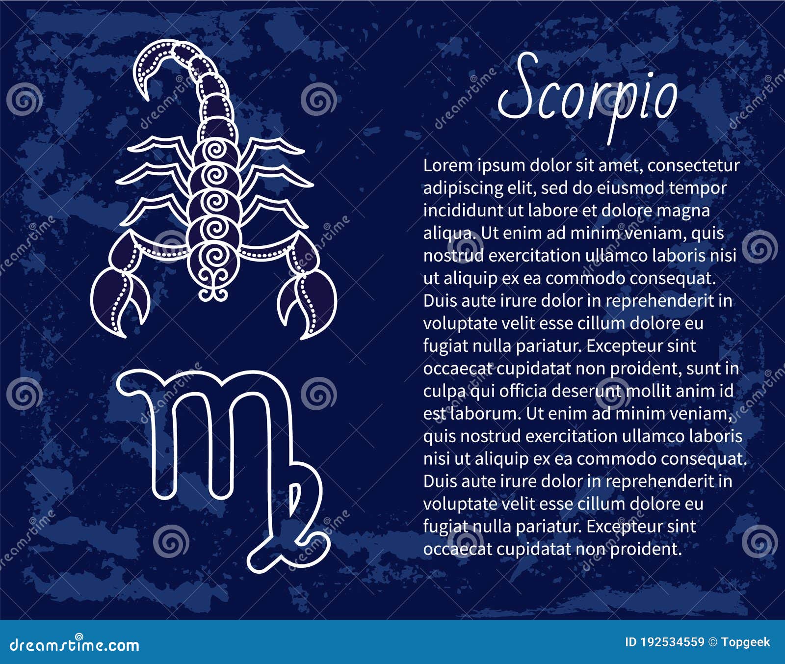 Scorpio Zodiac Sign Astrology and Horoscope Vector Stock Vector