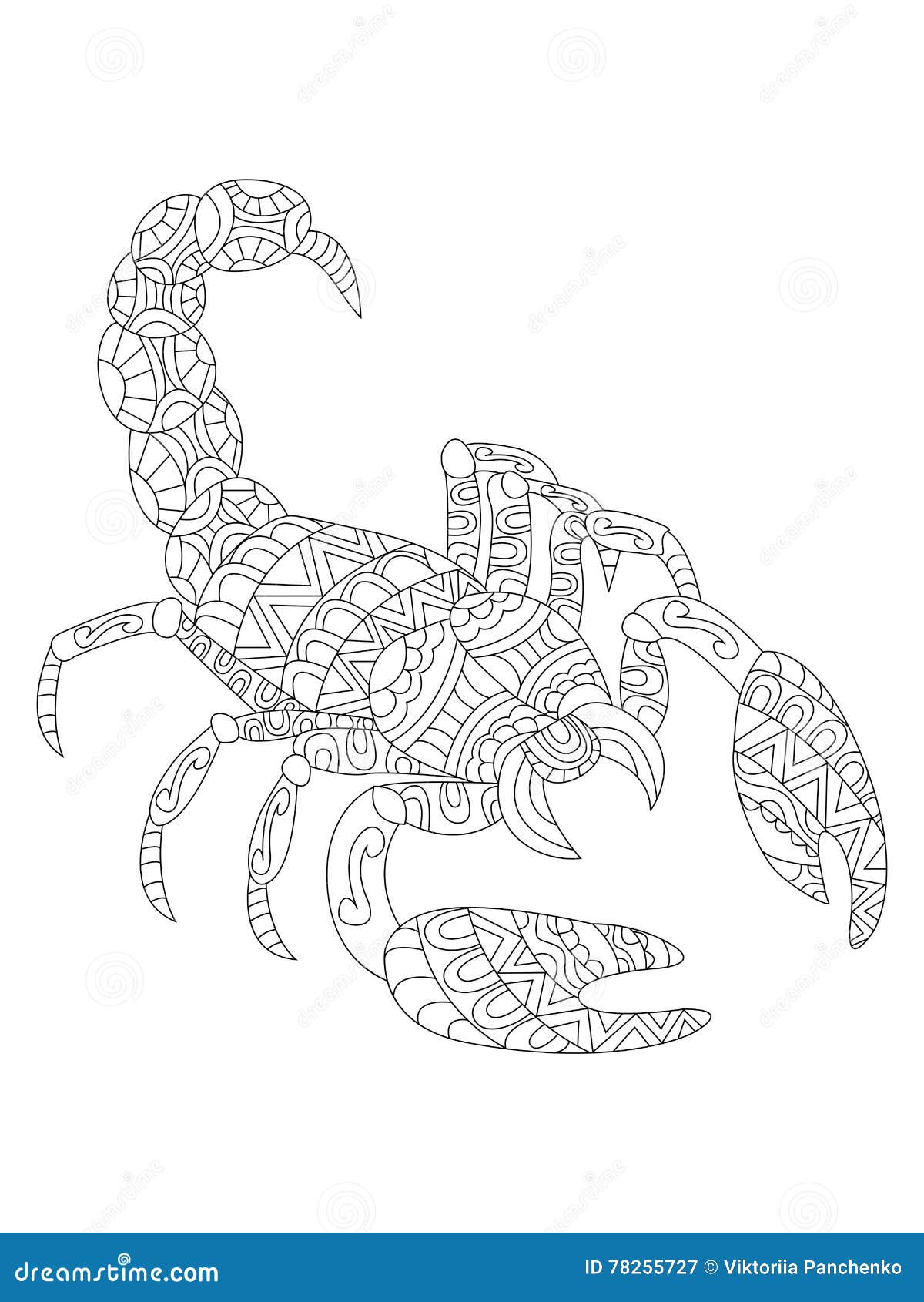 Featured image of post Scorpion Coloring Page In coloringcrew com find hundreds of coloring pages of scorpions and online coloring pages for free