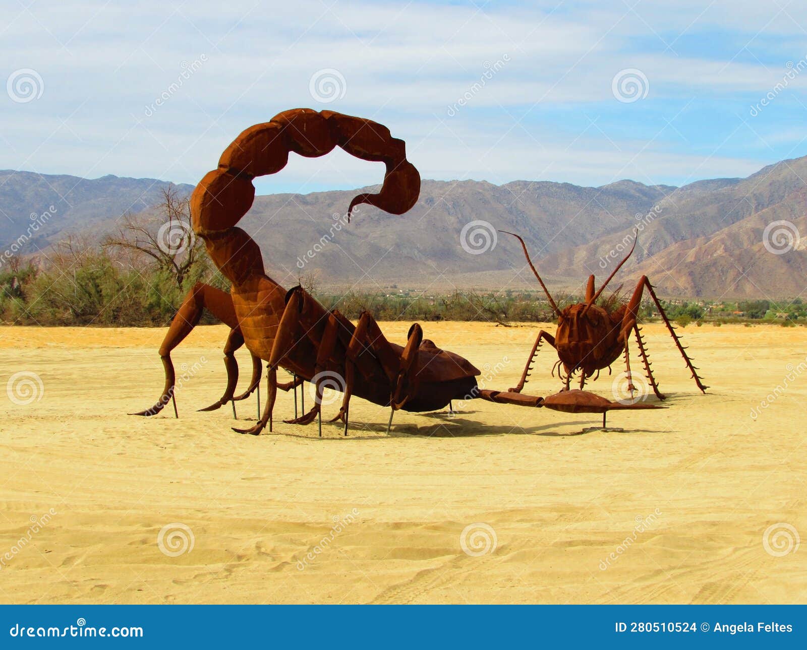 scorpion vs ant at galleta meadows in borrego springs california