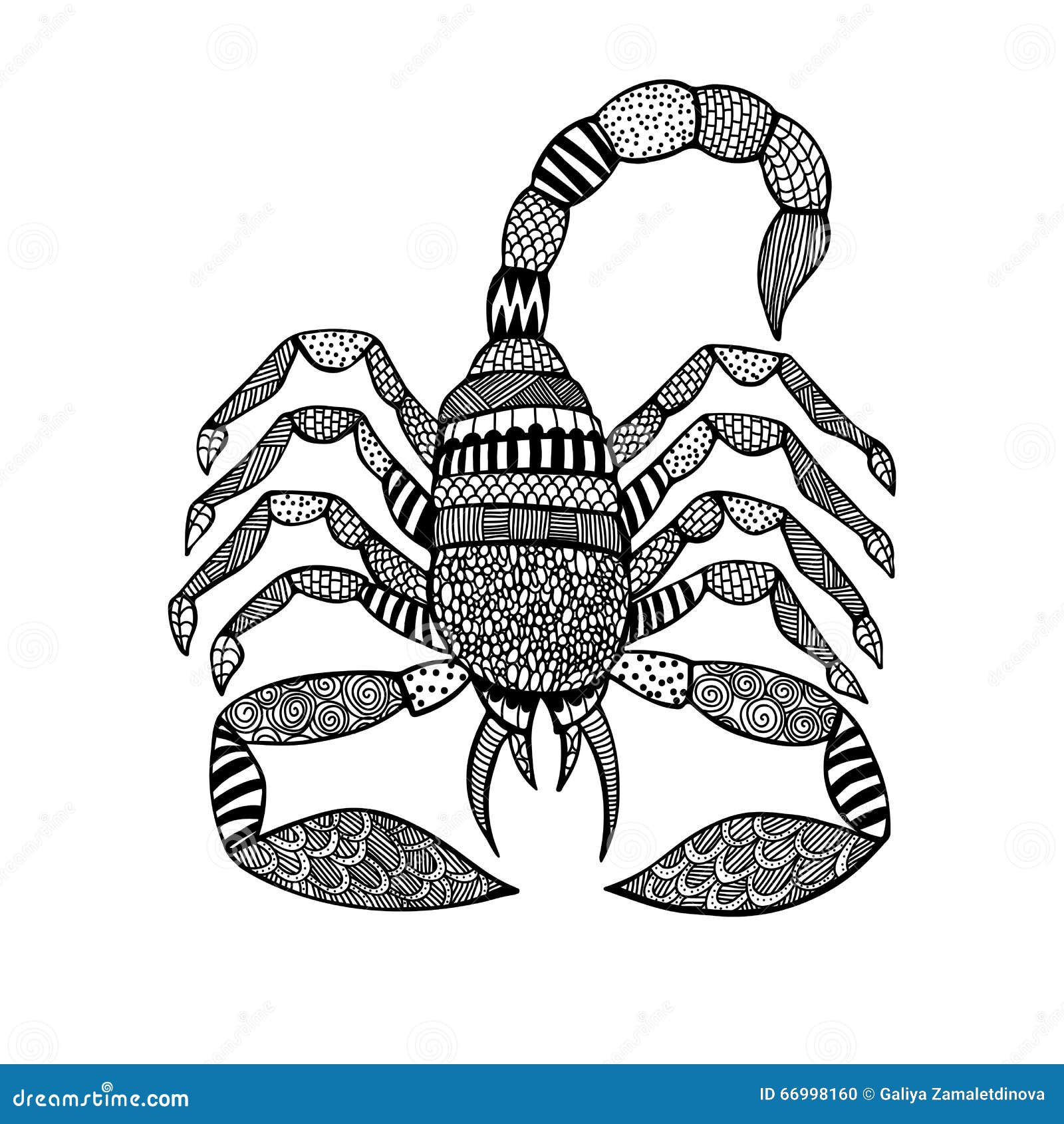 Scorpion In Zentangle Style On White Background Stock