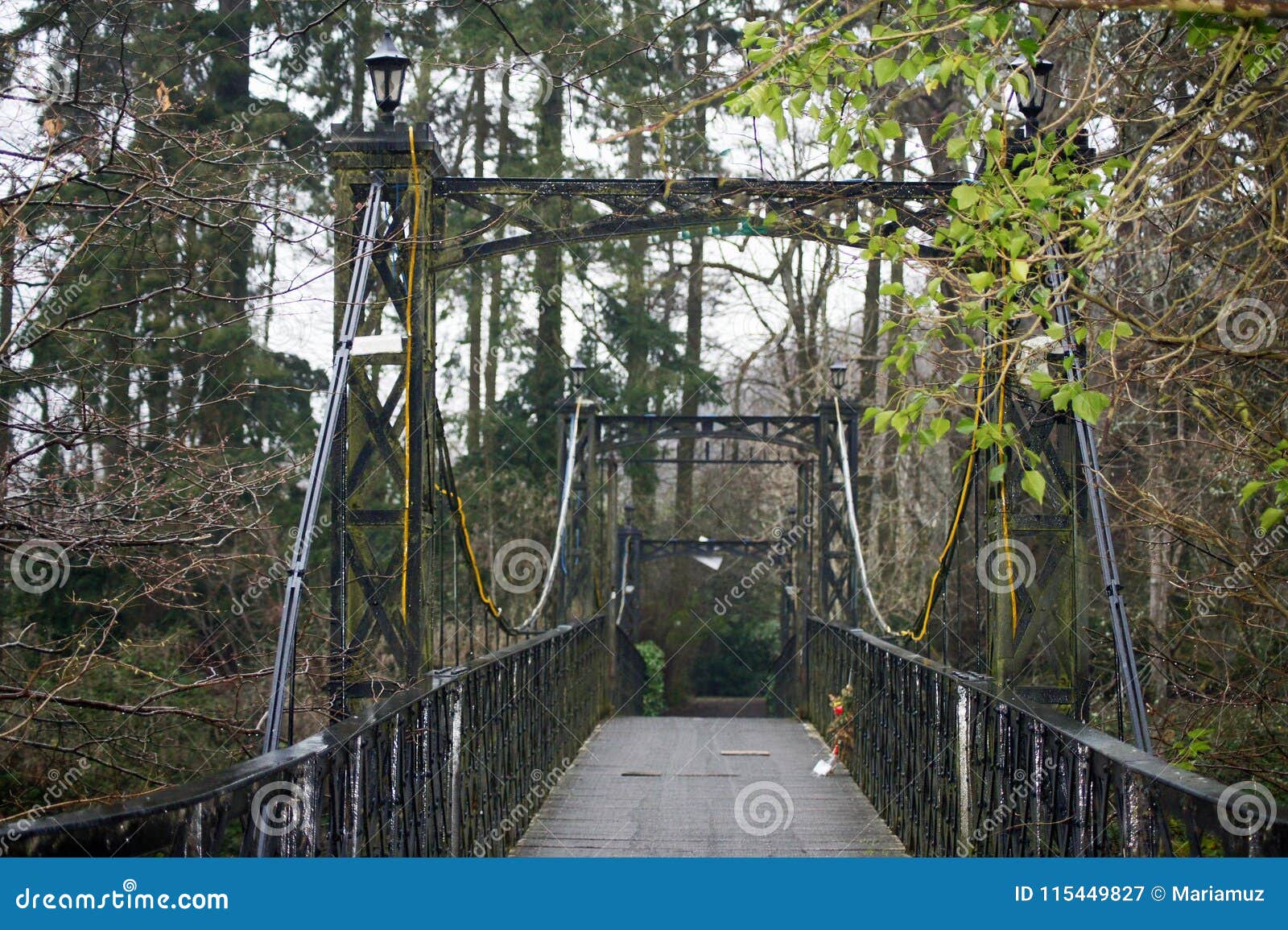 scotland: irion bridge from xix age