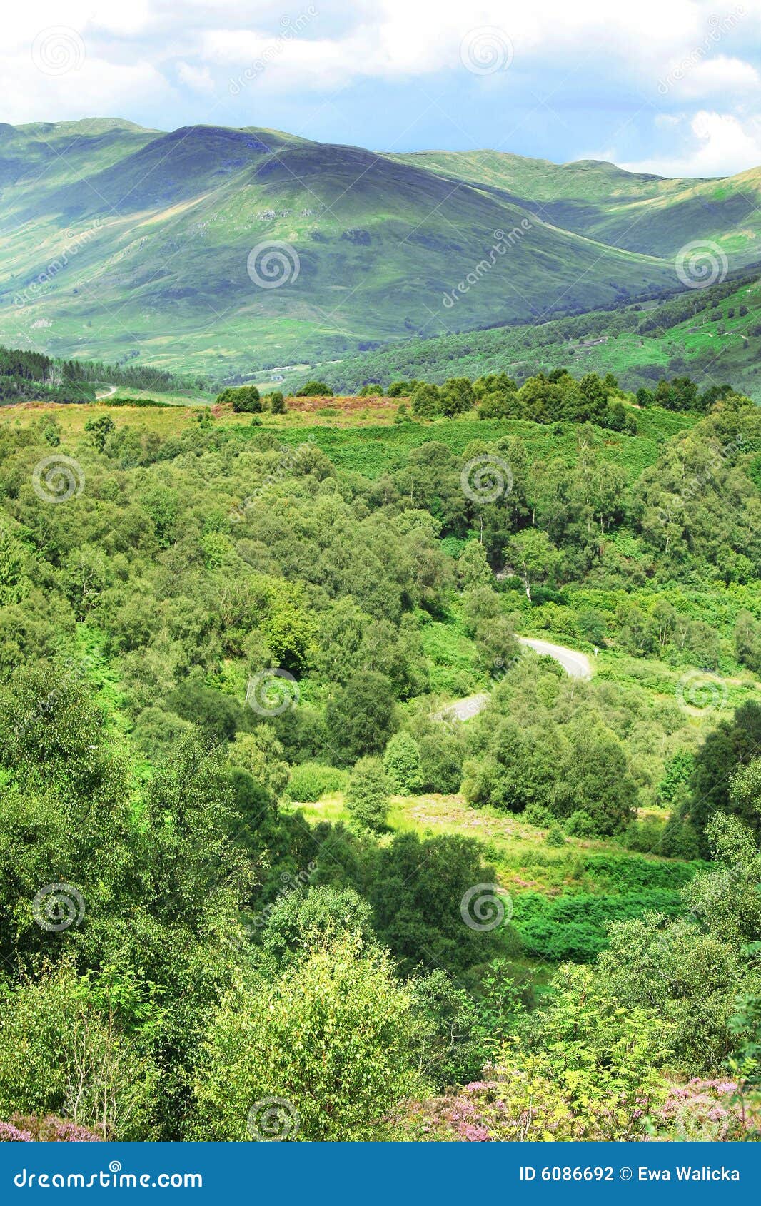 Scottish Highlands stock photo. Image of forest, scenery 6086692