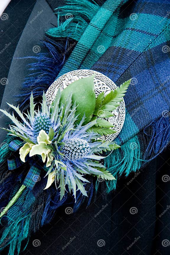 Scottish Wedding Button Hole Stock Photo - Image of highland, marriage ...