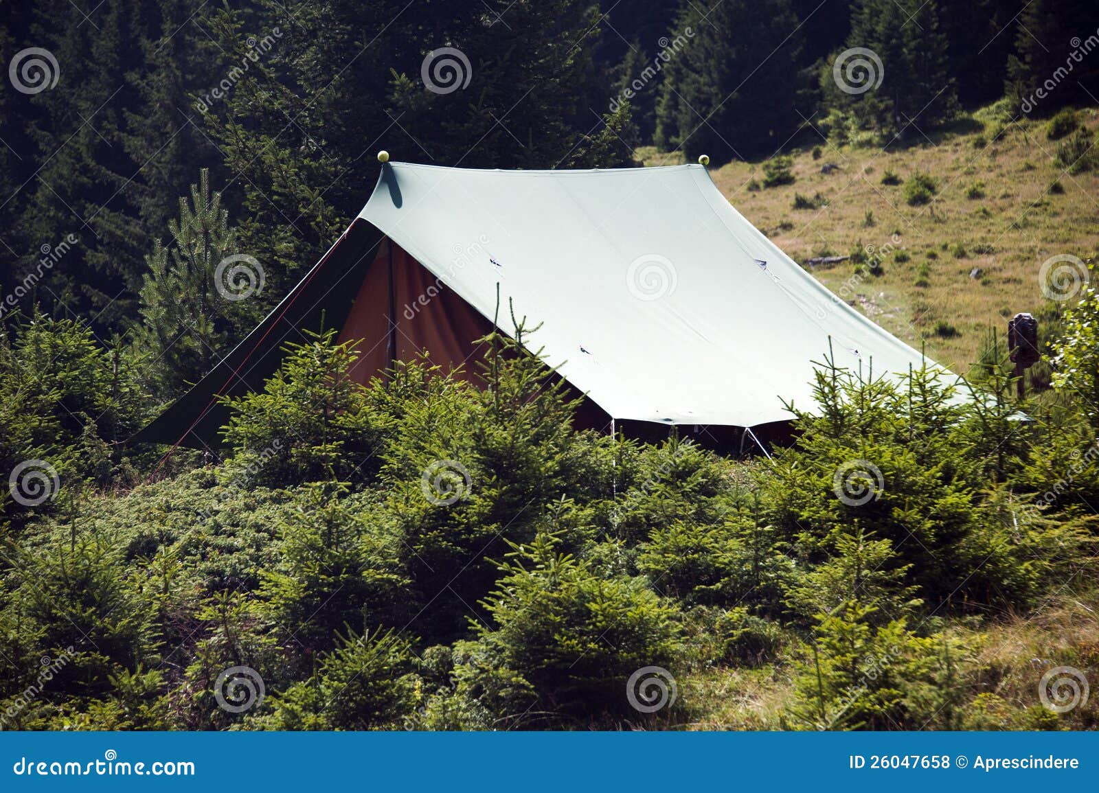 Scout camp stock photo. Image of trees, orange, platforms 26047658