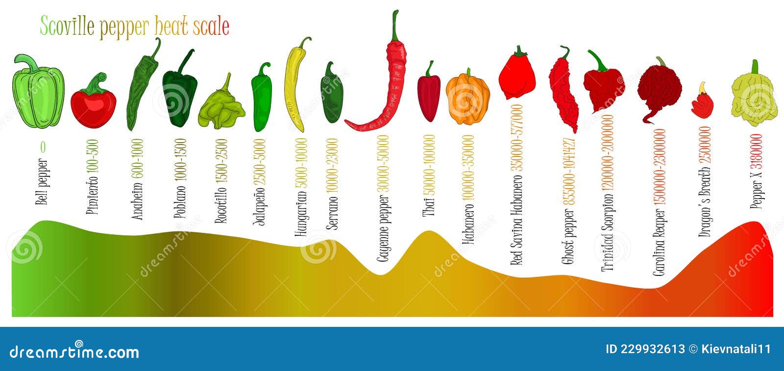 scoville pepper heat scale. pepper  from sweetest to very hot