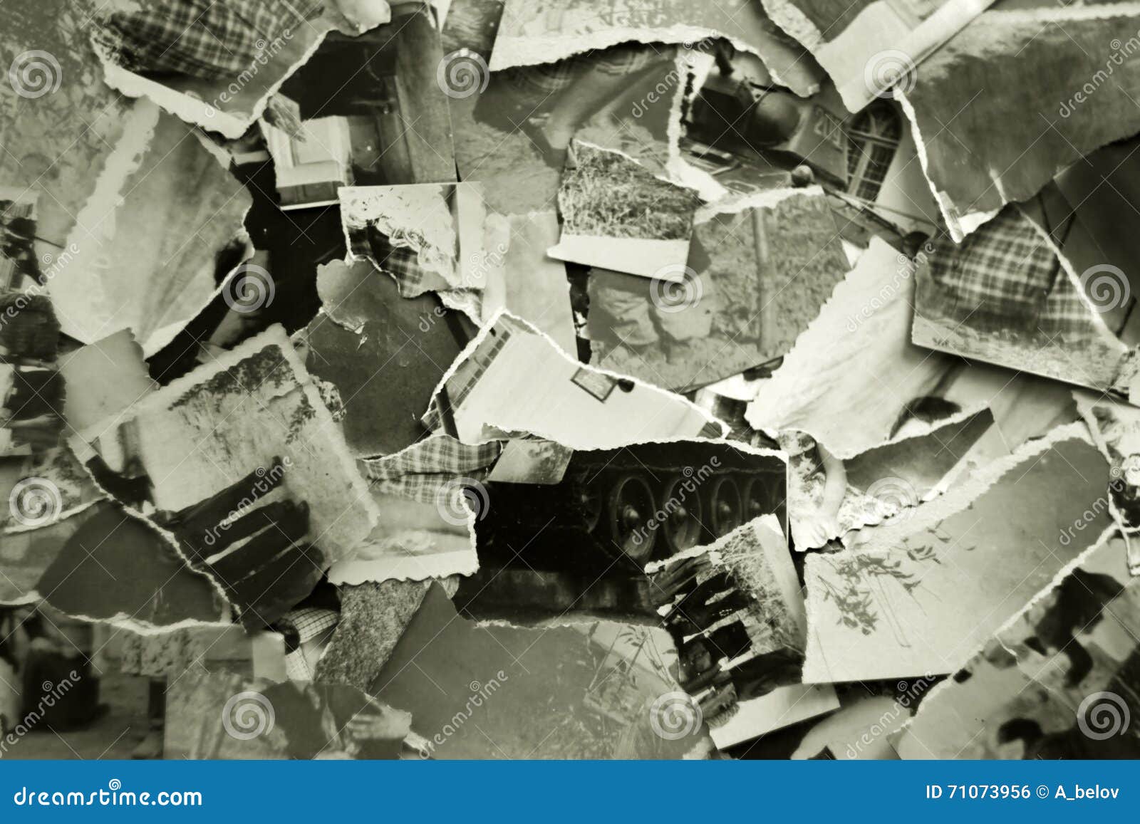 Scraps of old photos stock photo. Image of blank, paperboard 71073956