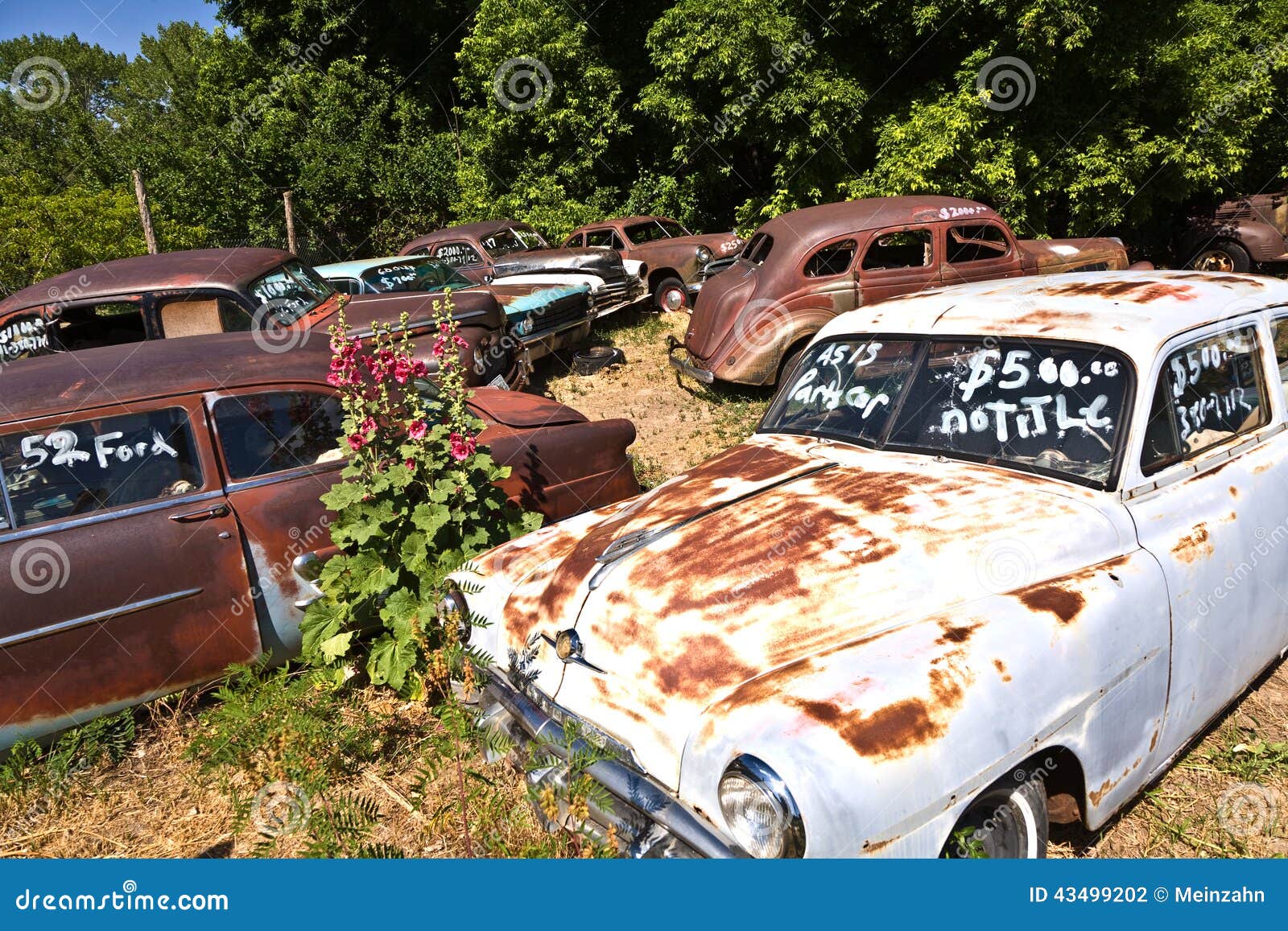 Scrapyard With Vintage Cars Editorial Photography - Image of automobile