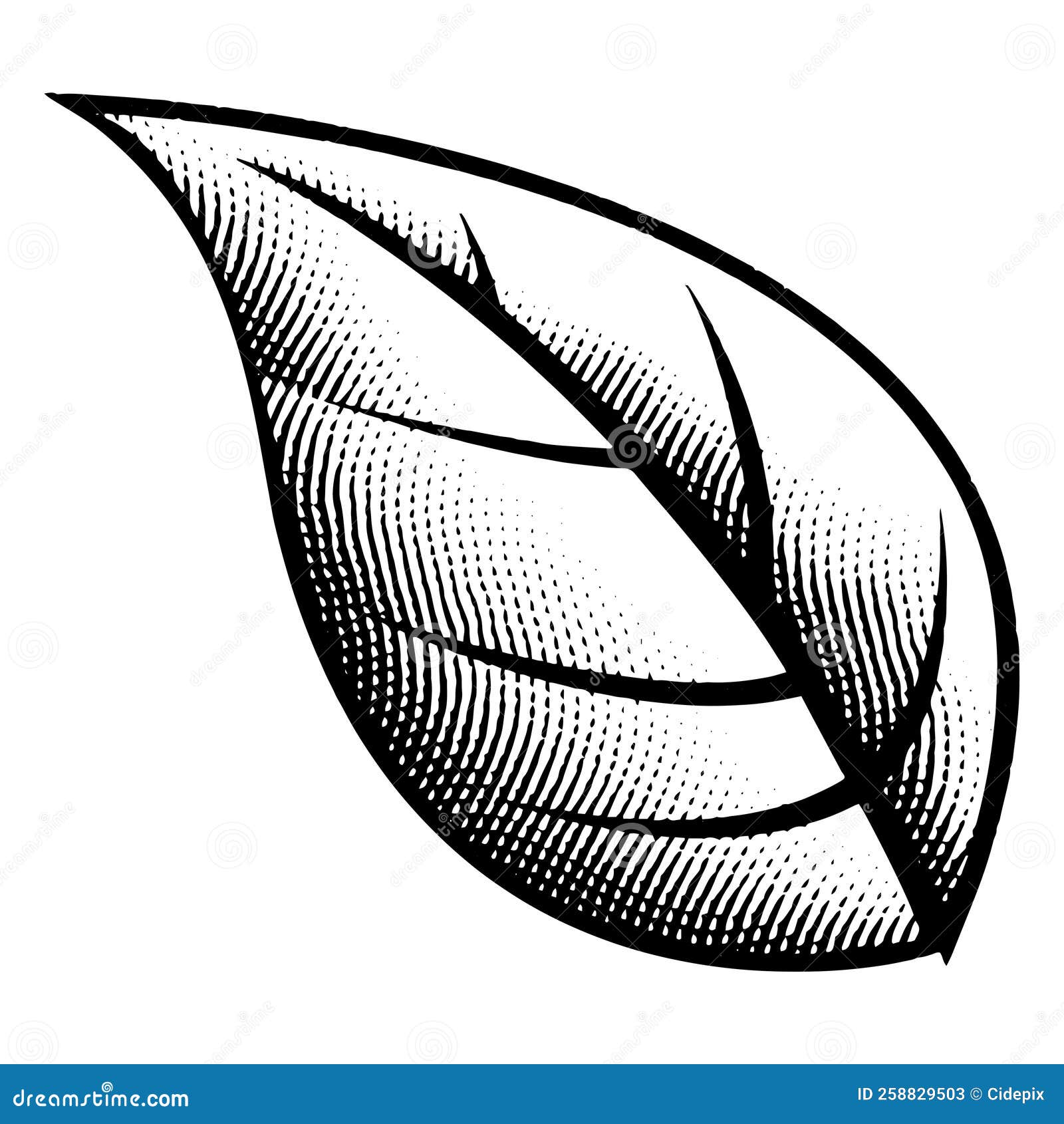Scratchboard Engraved Big Leaf Stock Vector Illustration of icon