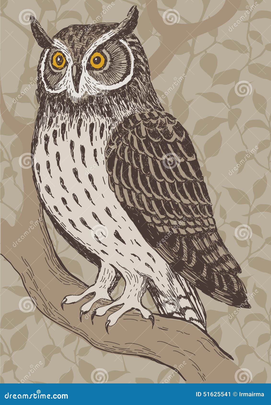 Owl - Drawing Skill