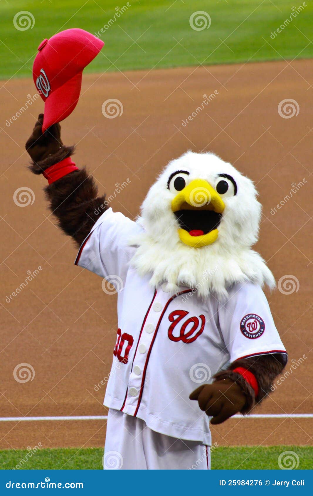 Screech Washington Nationals Mascot Editorial Photo - Image of