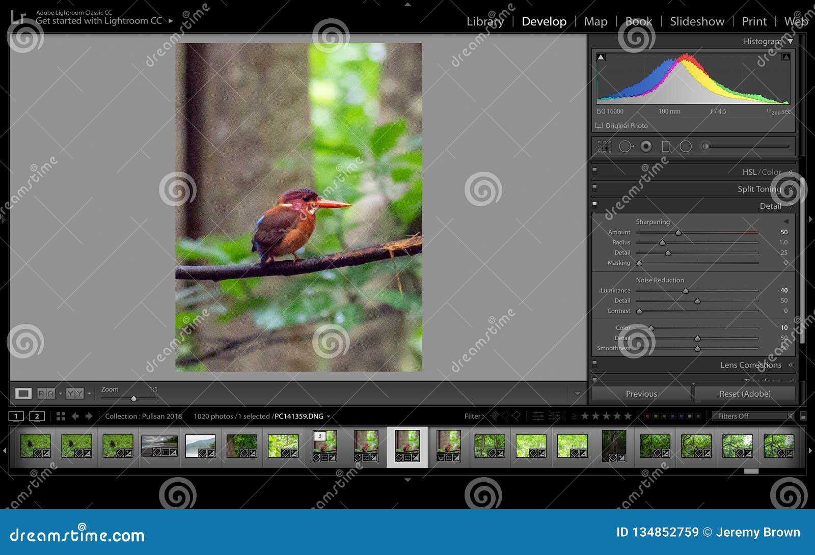 topaz denoise 6 vs lightroom 6 noise reduction topaz denoise 6 vs lightroom 6 noise reduction