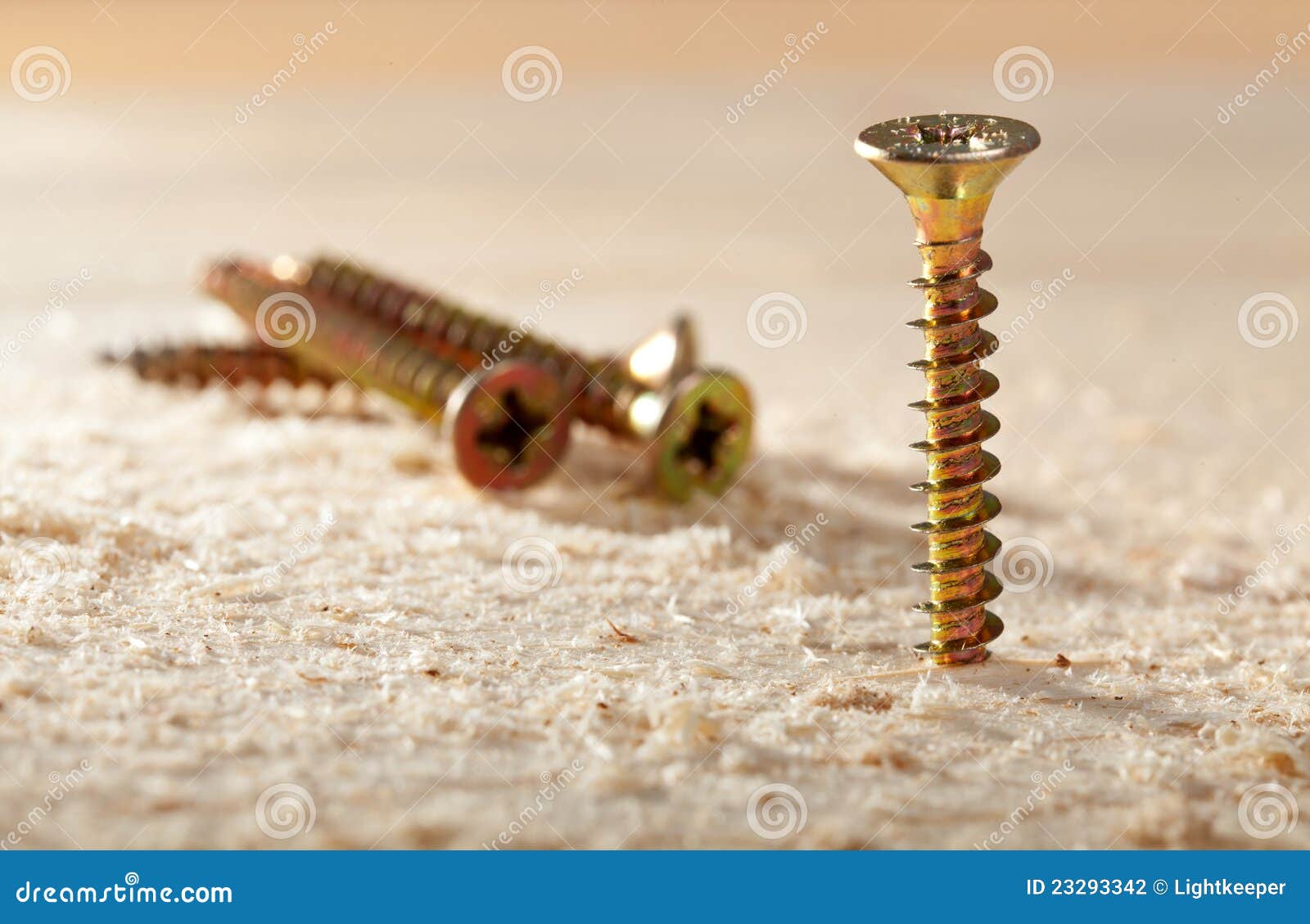 Nails on wood stock photo. Image of industrial, construction 23293342