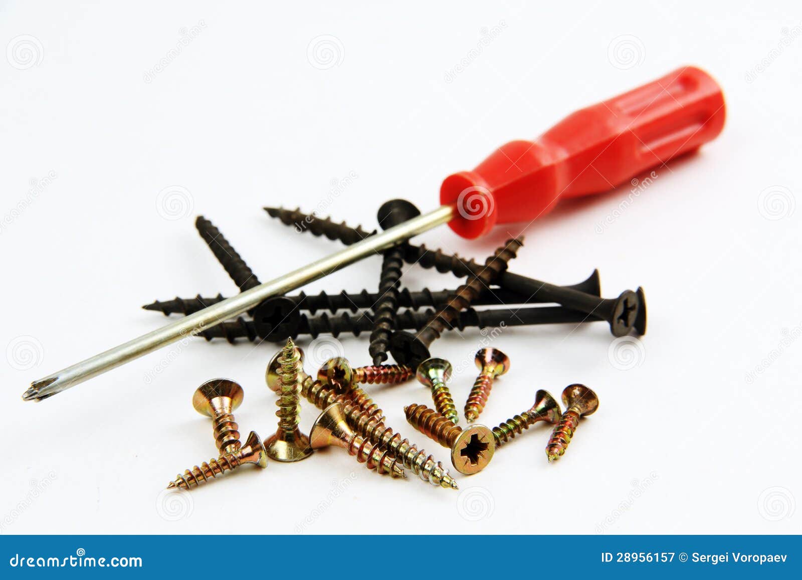 Screwdriver and screws. stock image. Image of hardware 28956157