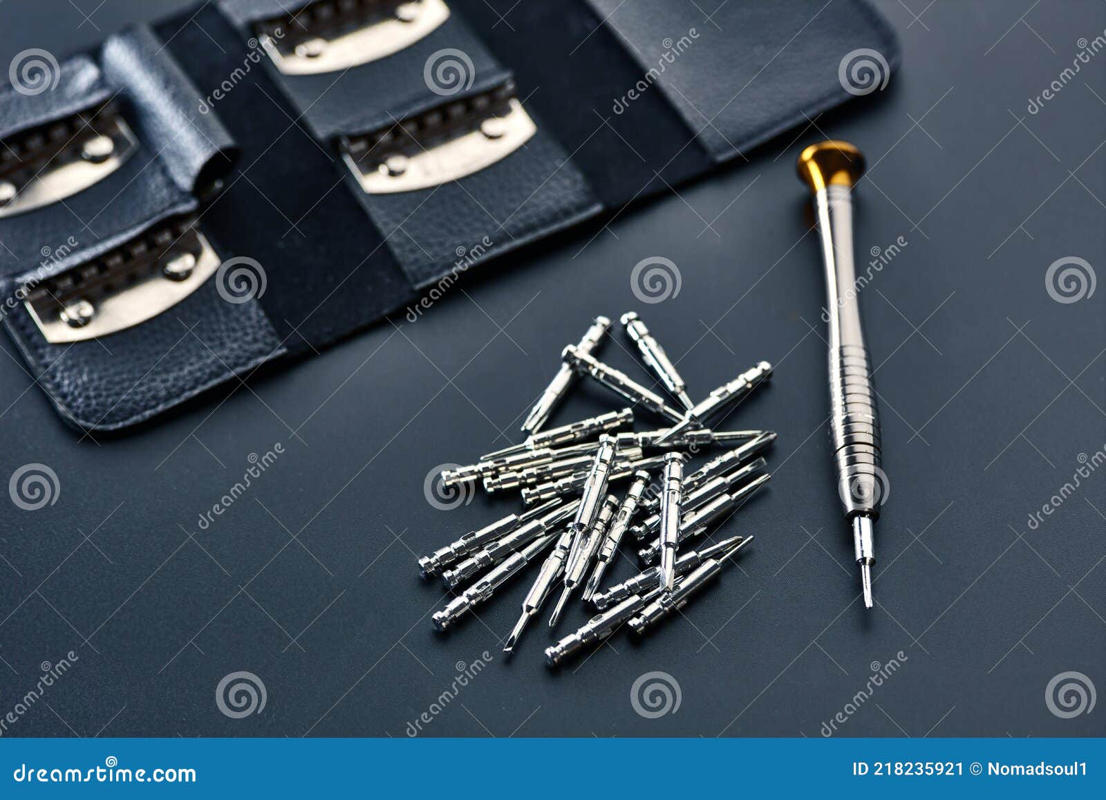 screwdriver and set of replaceable bits, closeup