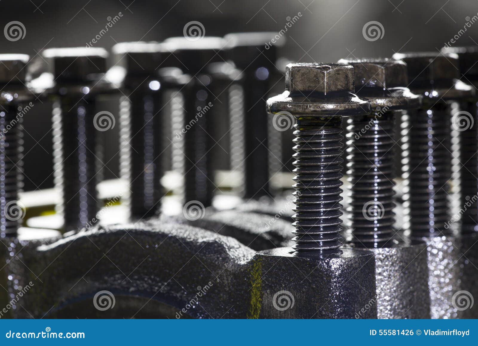 Screws stock photo. Image of oily, mechanical, vehicle 55581426