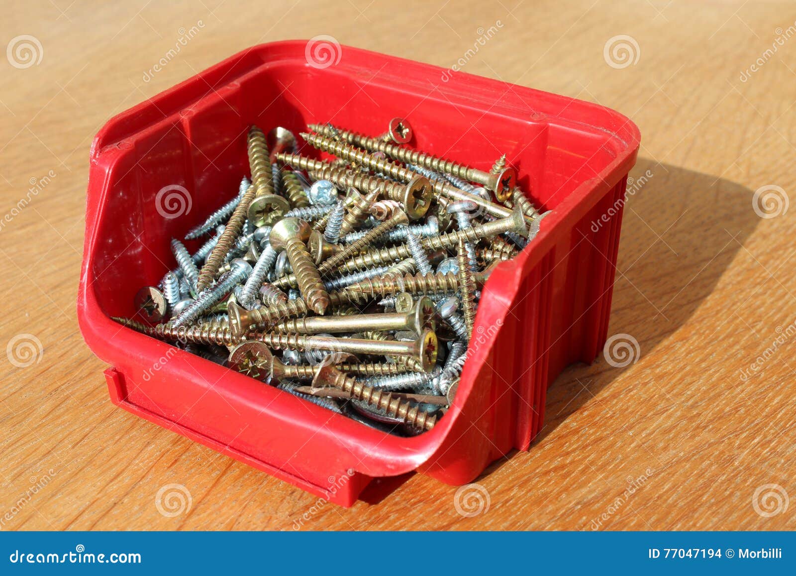 Screws in plastic box stock photo. Image of wooden, closeup 77047194