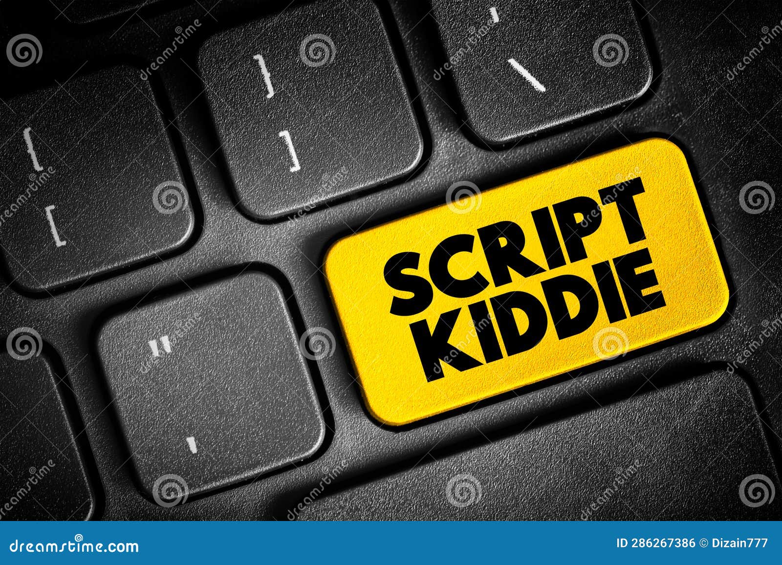 Script Kiddie is Someone that Uses Existing Software To Hack Computer