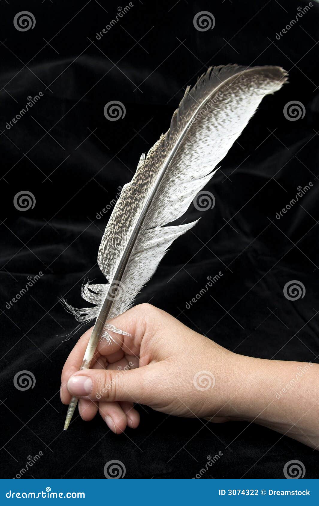 Scrittura Della Mano Con La Piuma Fotografia Stock - Immagine di nota