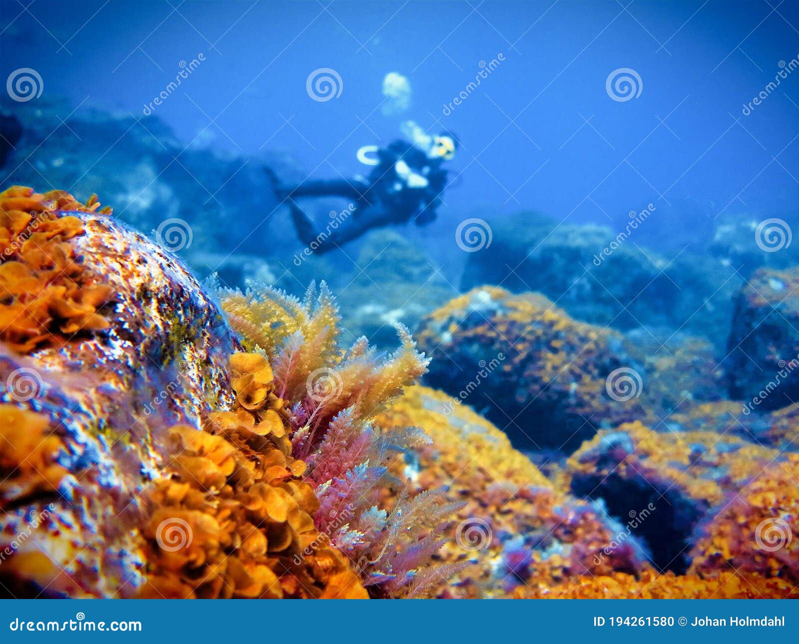 Underwater Scenery with a Scuba Diver Stock Photo - Image of landscape ...