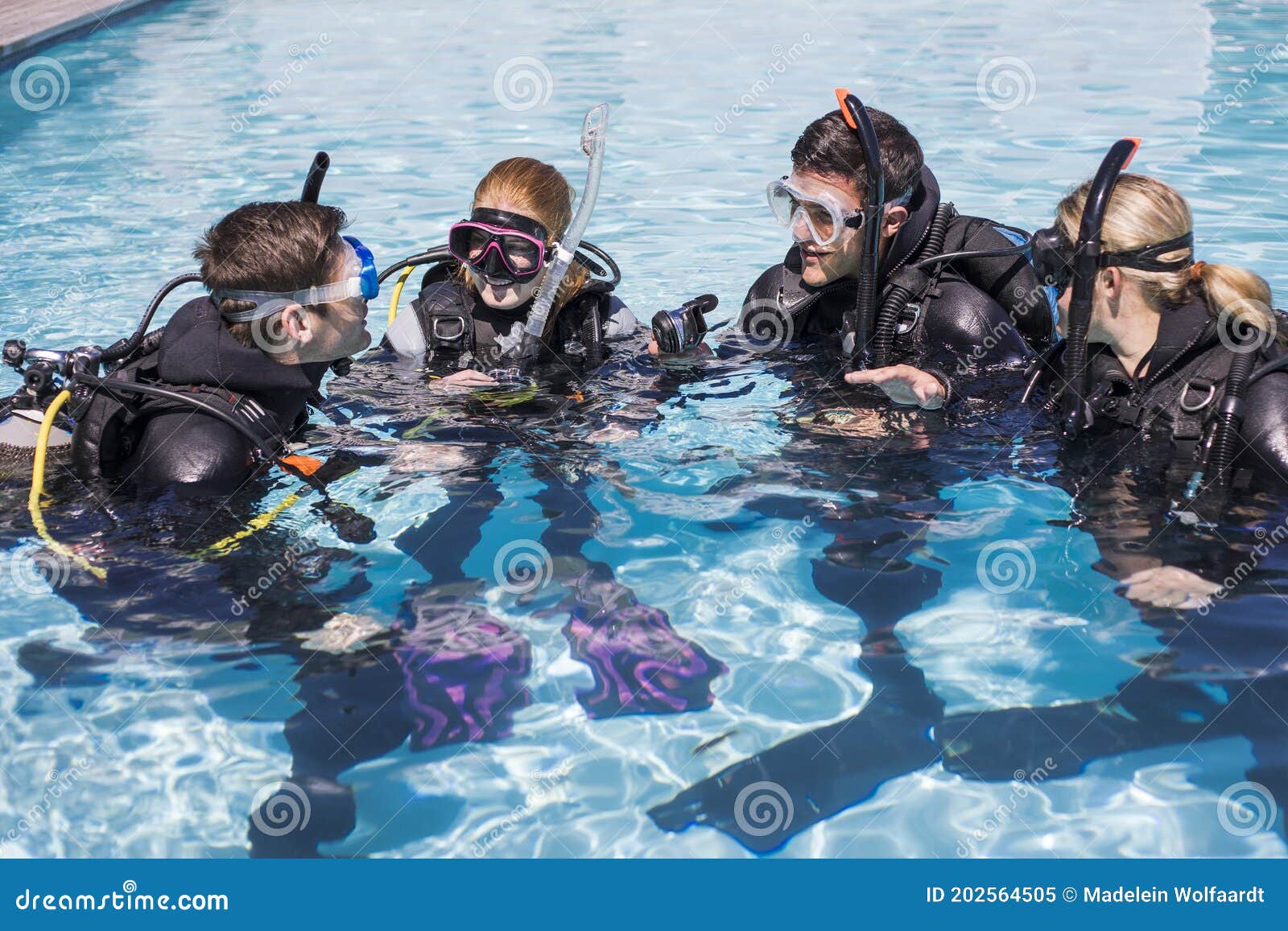 Scuba Dive Training in a Pool with a Group Stock Image Image of