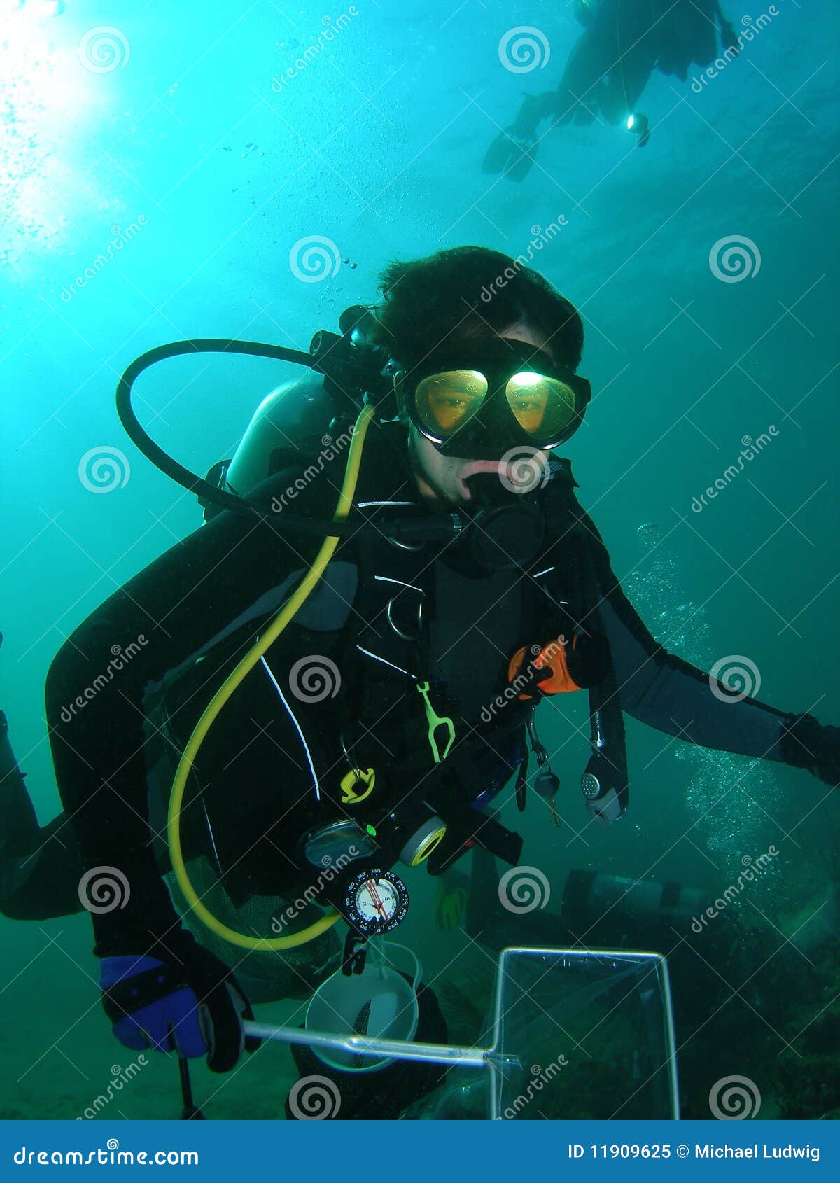 Scuba Diver stock image. Image of outdoors, ocean, scuba 11909625