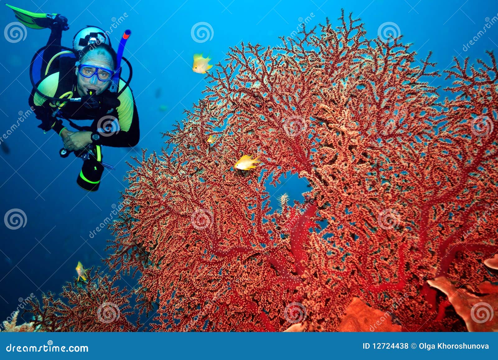 Scuba diver stock photo. Image of outdoor, ocean, asia - 12724438