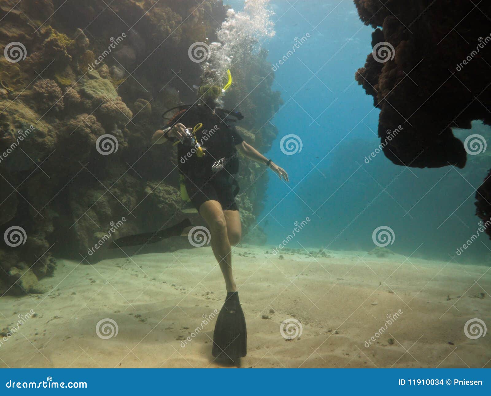 Scuba Diver with Camera on Great Barrier Reef Stock Photo Image of cairns, huge 11910034