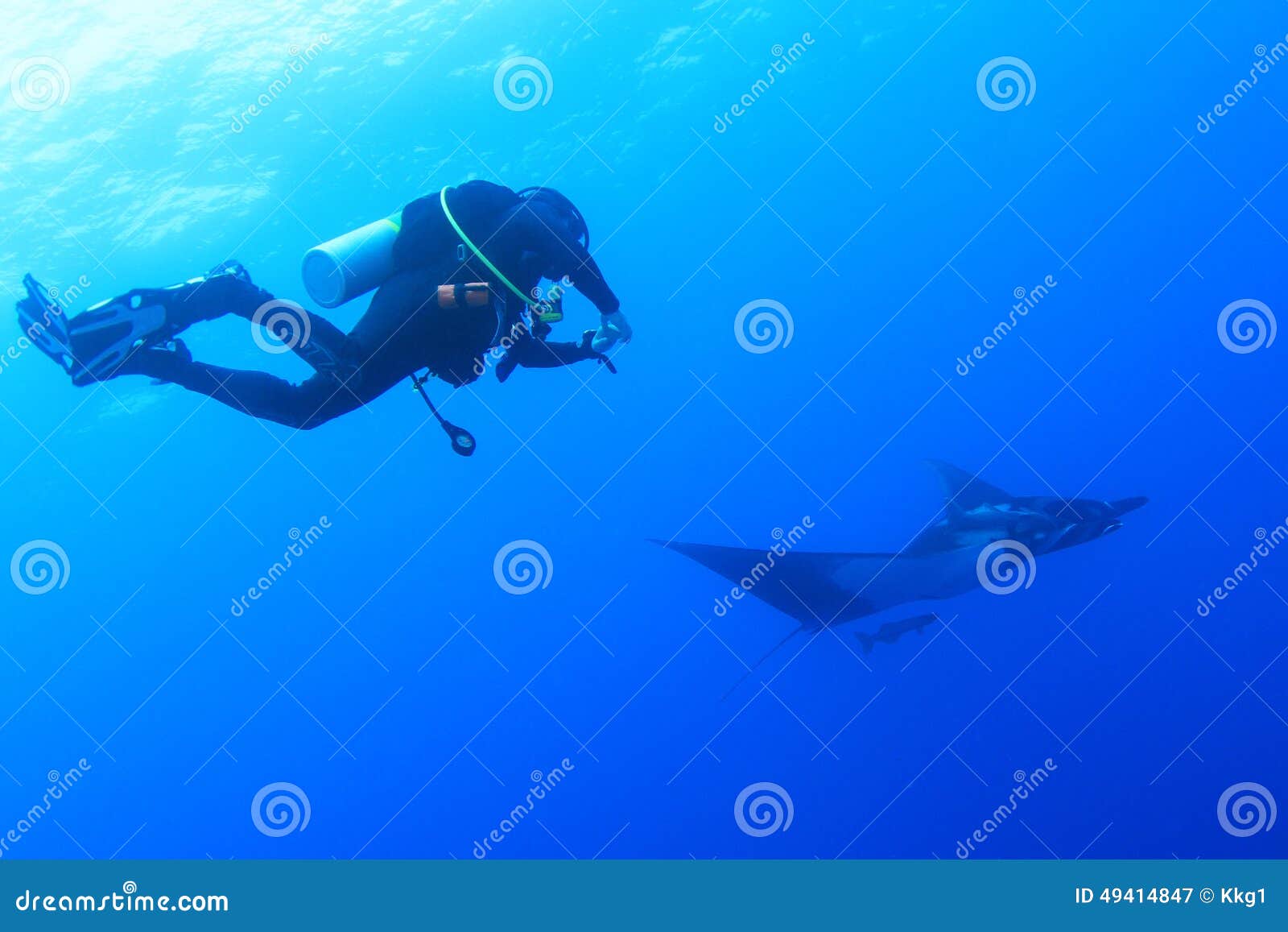 scuba diver with manta ray at socorro island, mexico