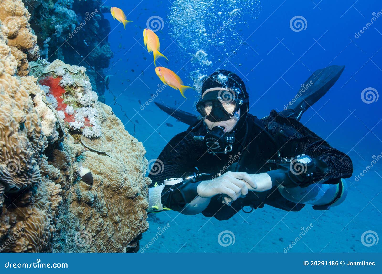 side mount scuba diver