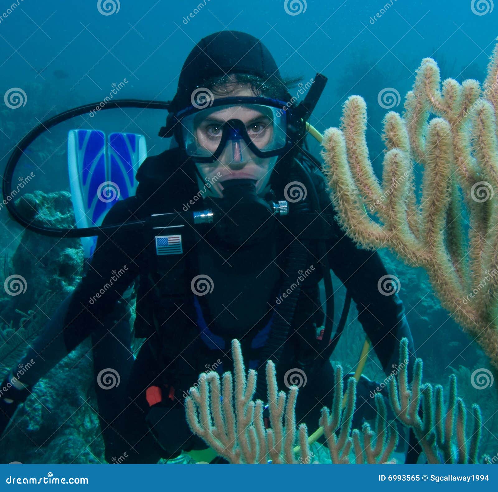 scuba diver woman underwater