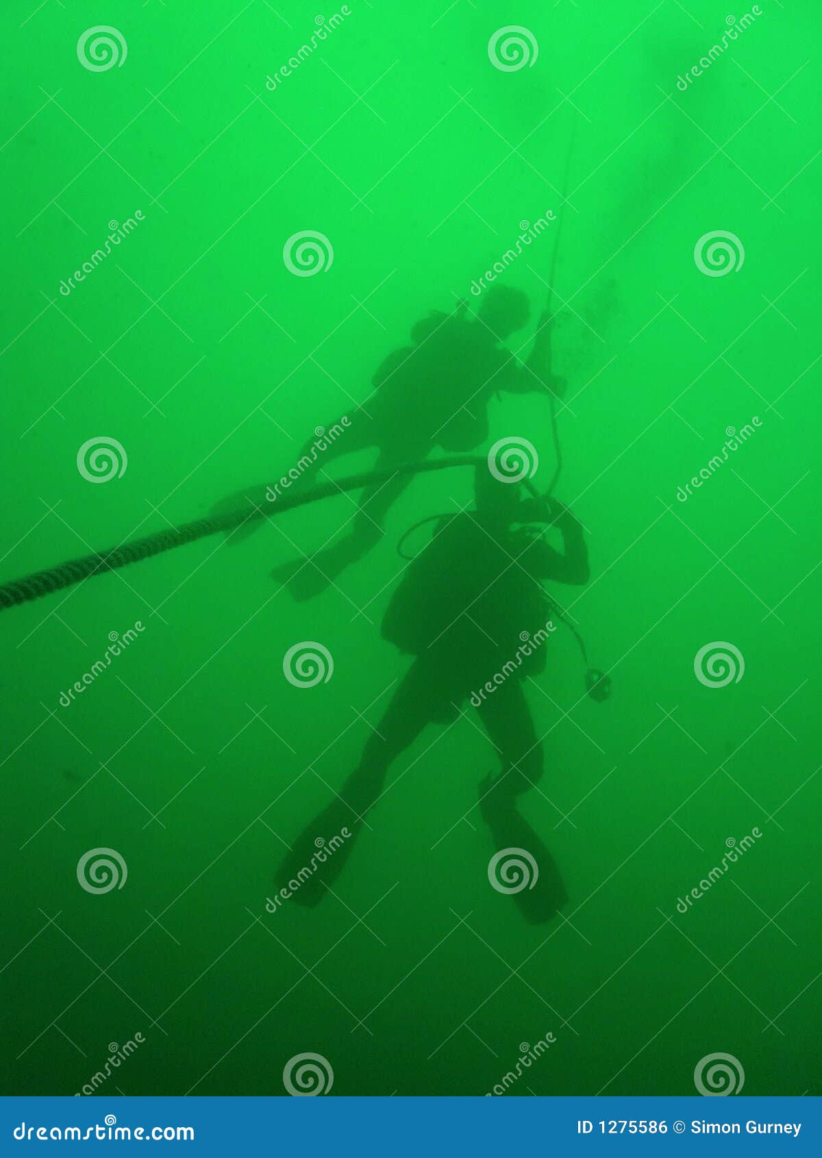 Scuba Divers Green Water Diving Stock Photo Image of diving, line