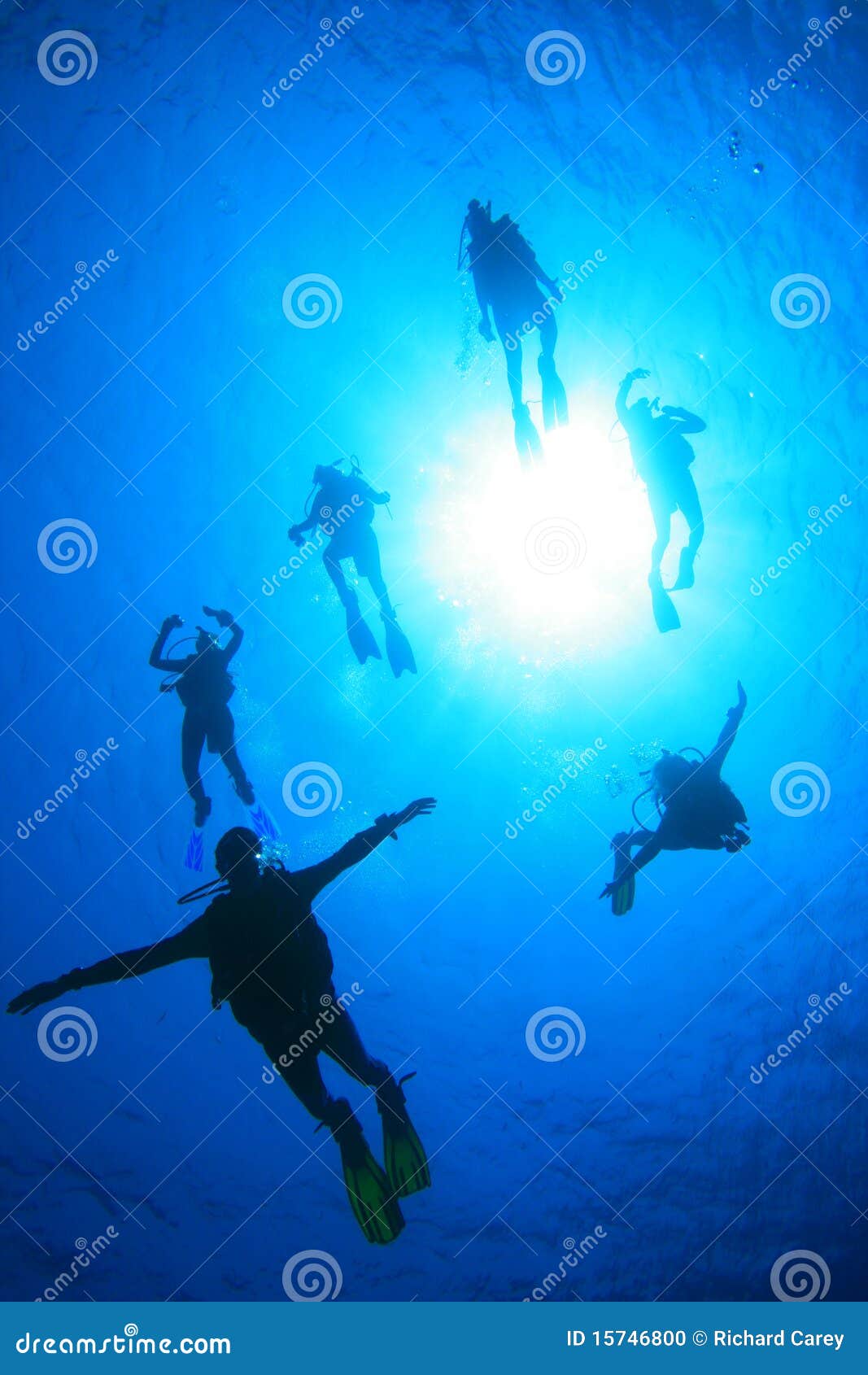 Scuba Divers having fun stock photo. Image of diving 15746800