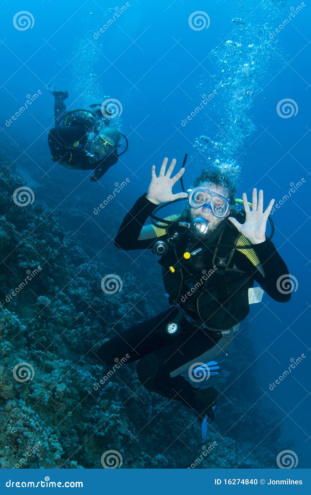 Scuba Divers Having Fun on a Dive Stock Photo Image of activity