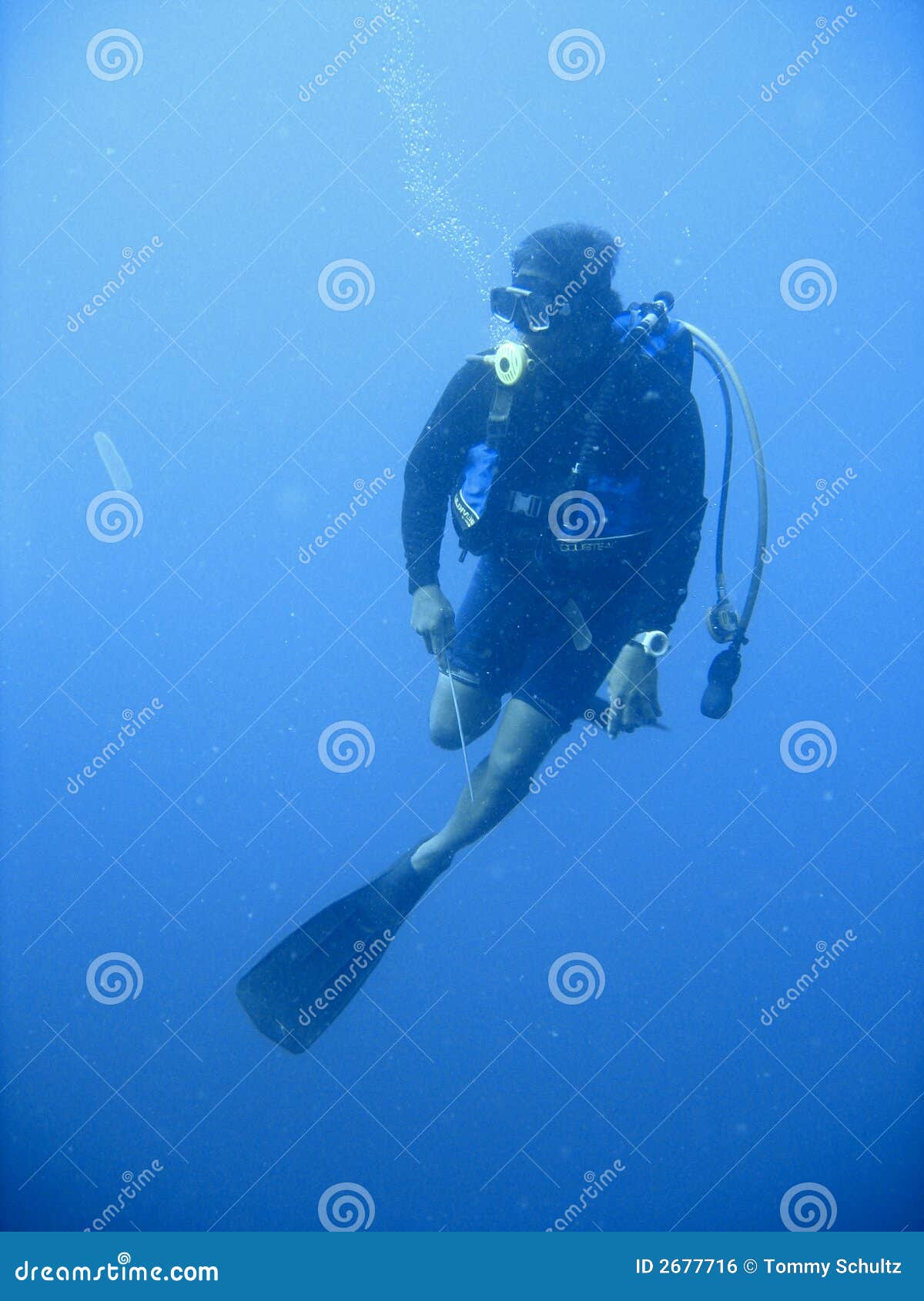 Scuba diving adventure stock photo. Image of fauna, finding 2677716