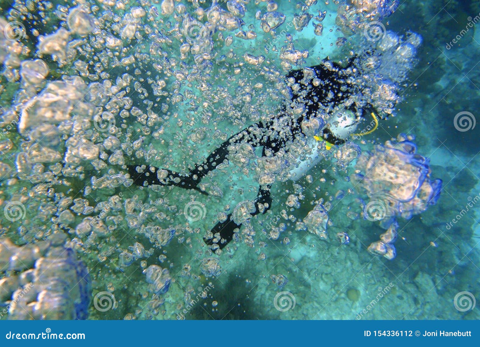 Scuba Diving Bubbles Rising in the Ocean Stock Photo Image of diving