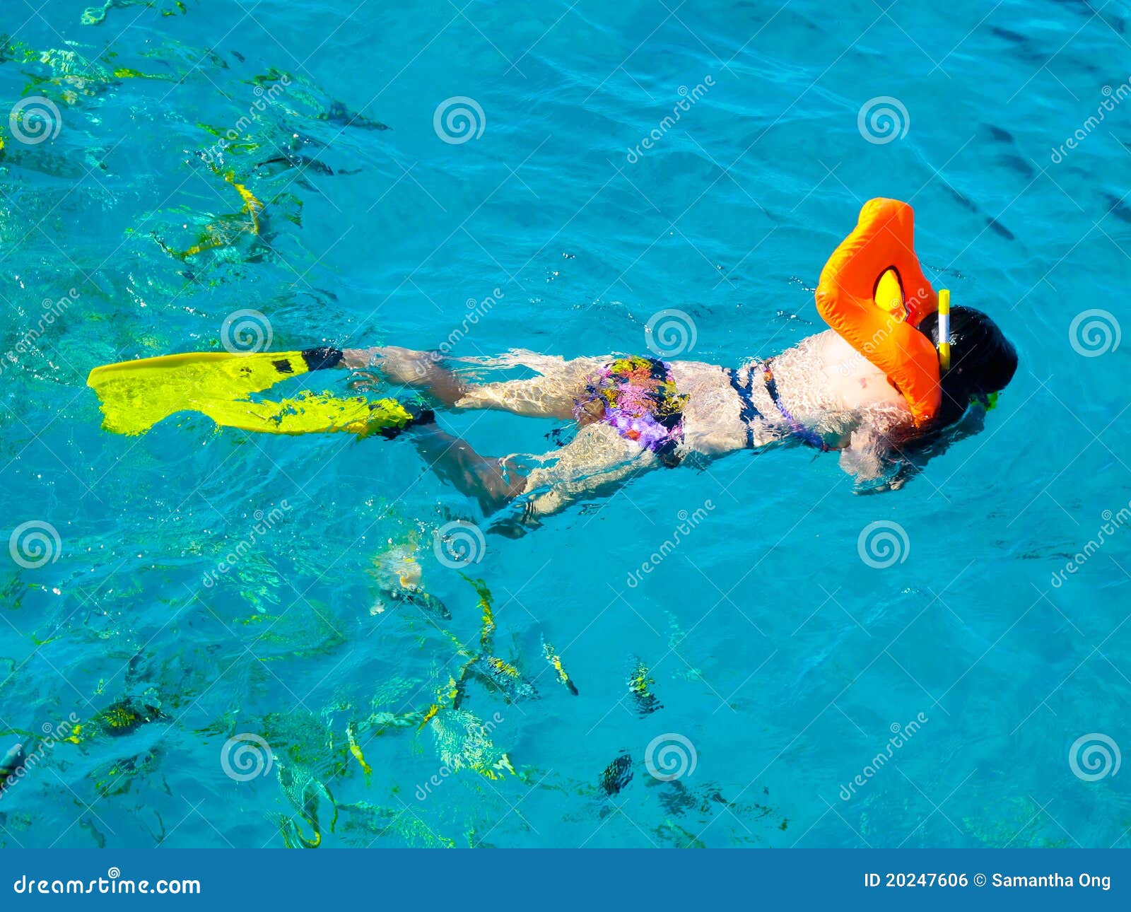 scuba diving in the caribbean sea, largo, cuba