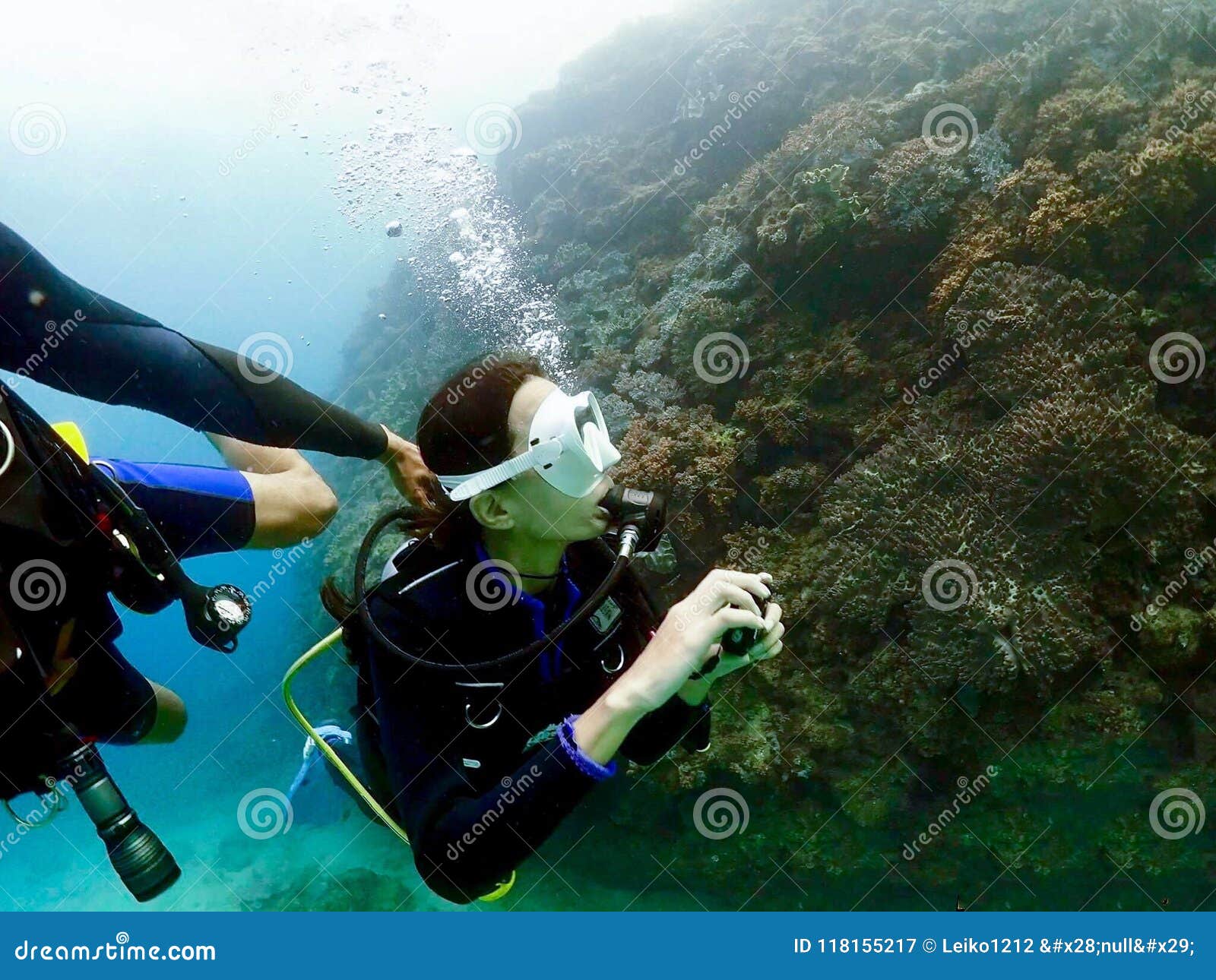 Scuba Diving Okinawa Reef Coral Editorial Photography Image of scuba