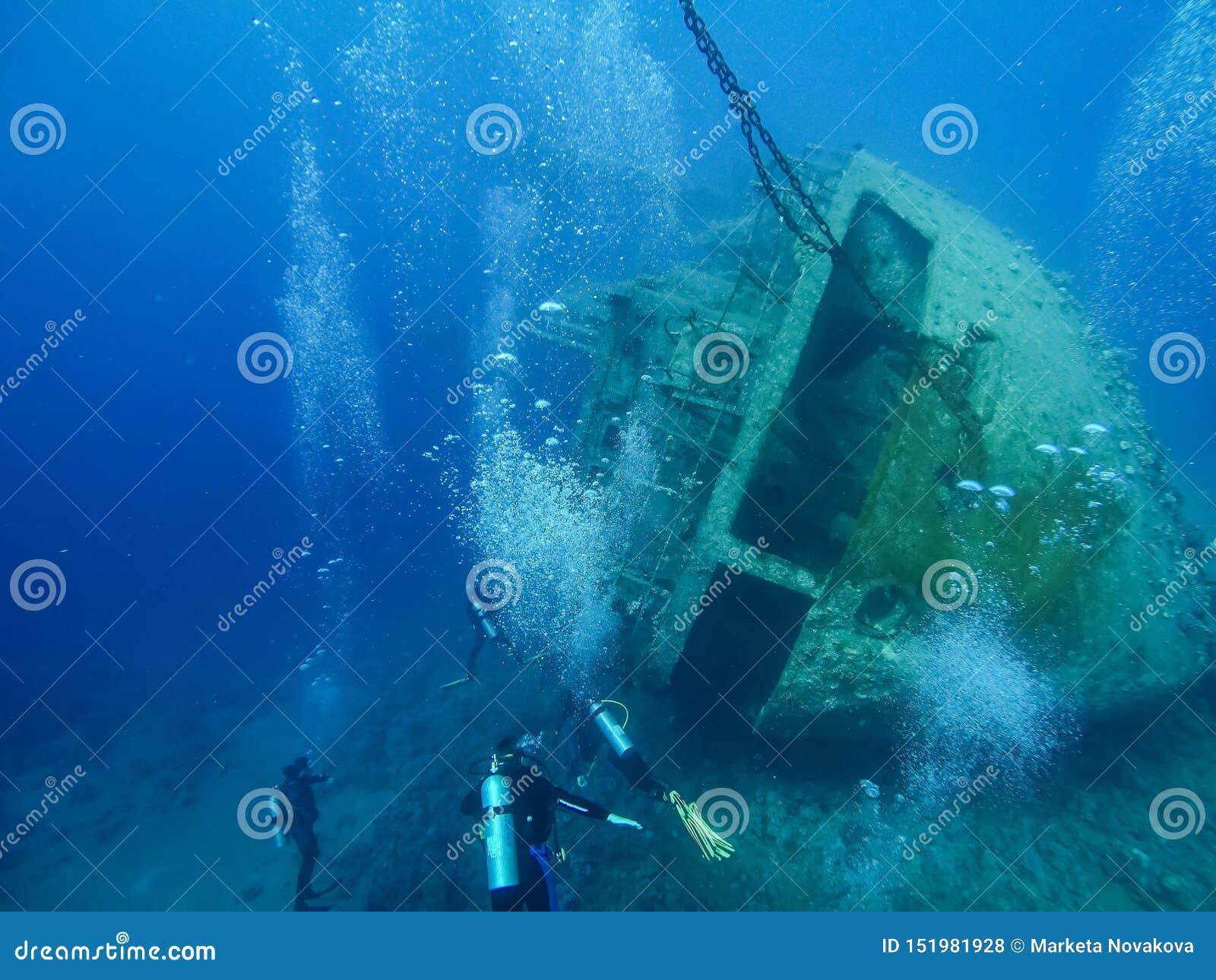 Scuba Diving Wreck Cedar Pride in Aqaba, Jordan, Red Sea Stock Photo - Image of blue, aqaba: 151981928
