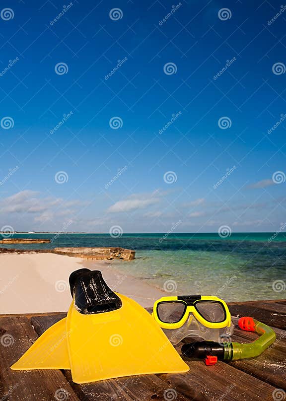 Scuba Equipment stock photo. Image of exploration, goggles 7753196