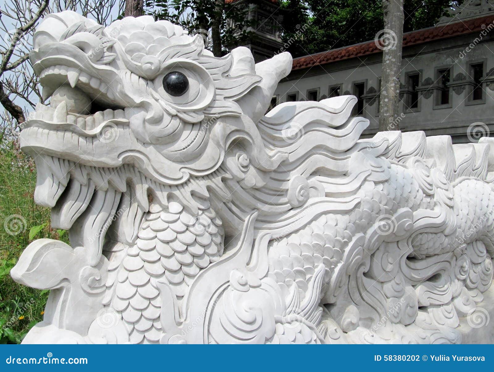 Afficher limage dorigine