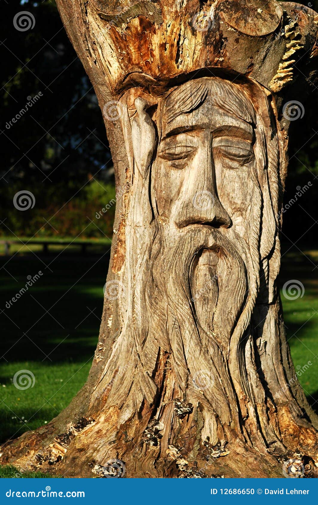 Sculpture en bois en arbre photo stock. Image du homme - 12686650