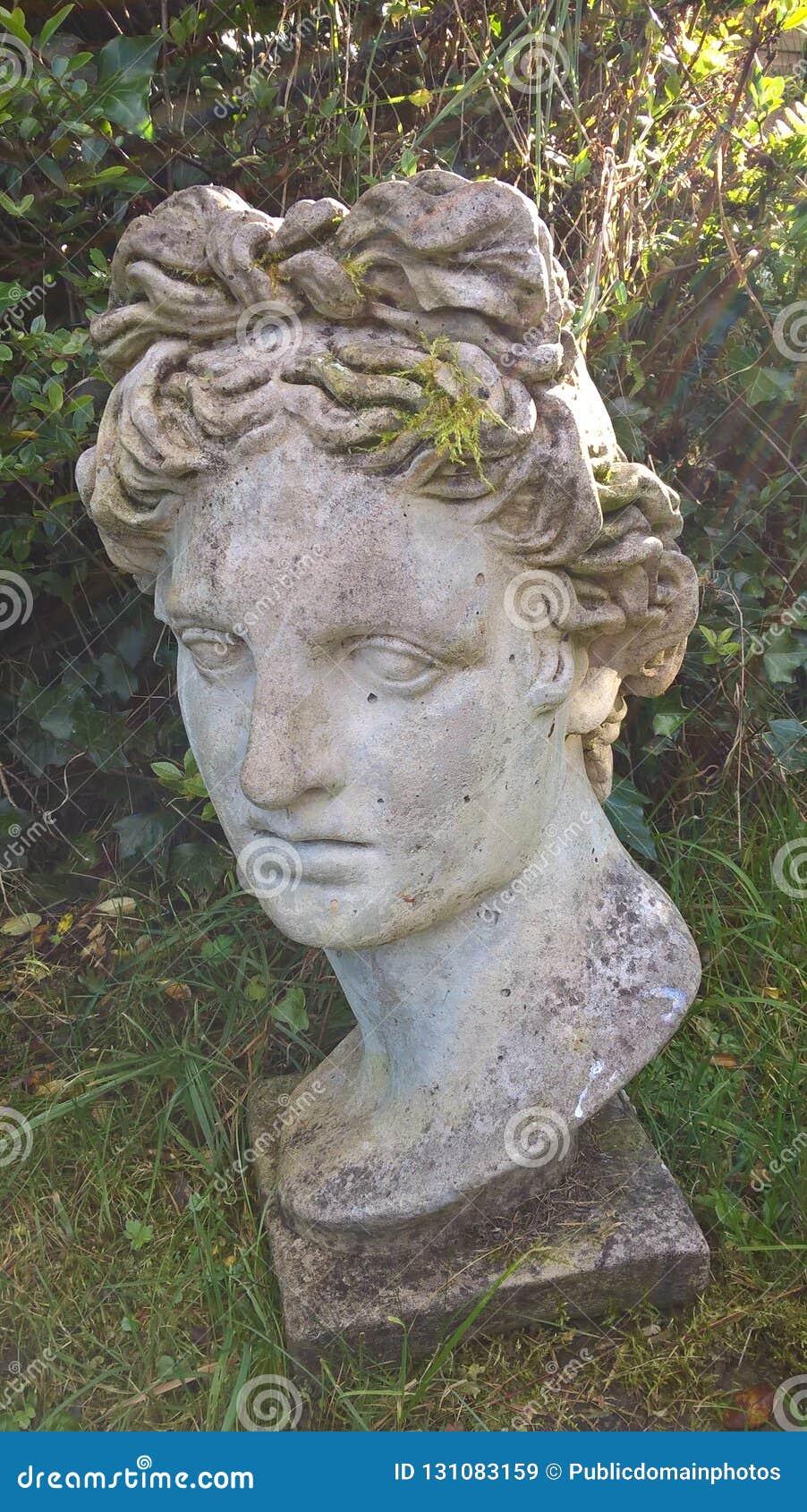 Sculpture, Stone Carving, Statue, Head Picture. Image 131083159