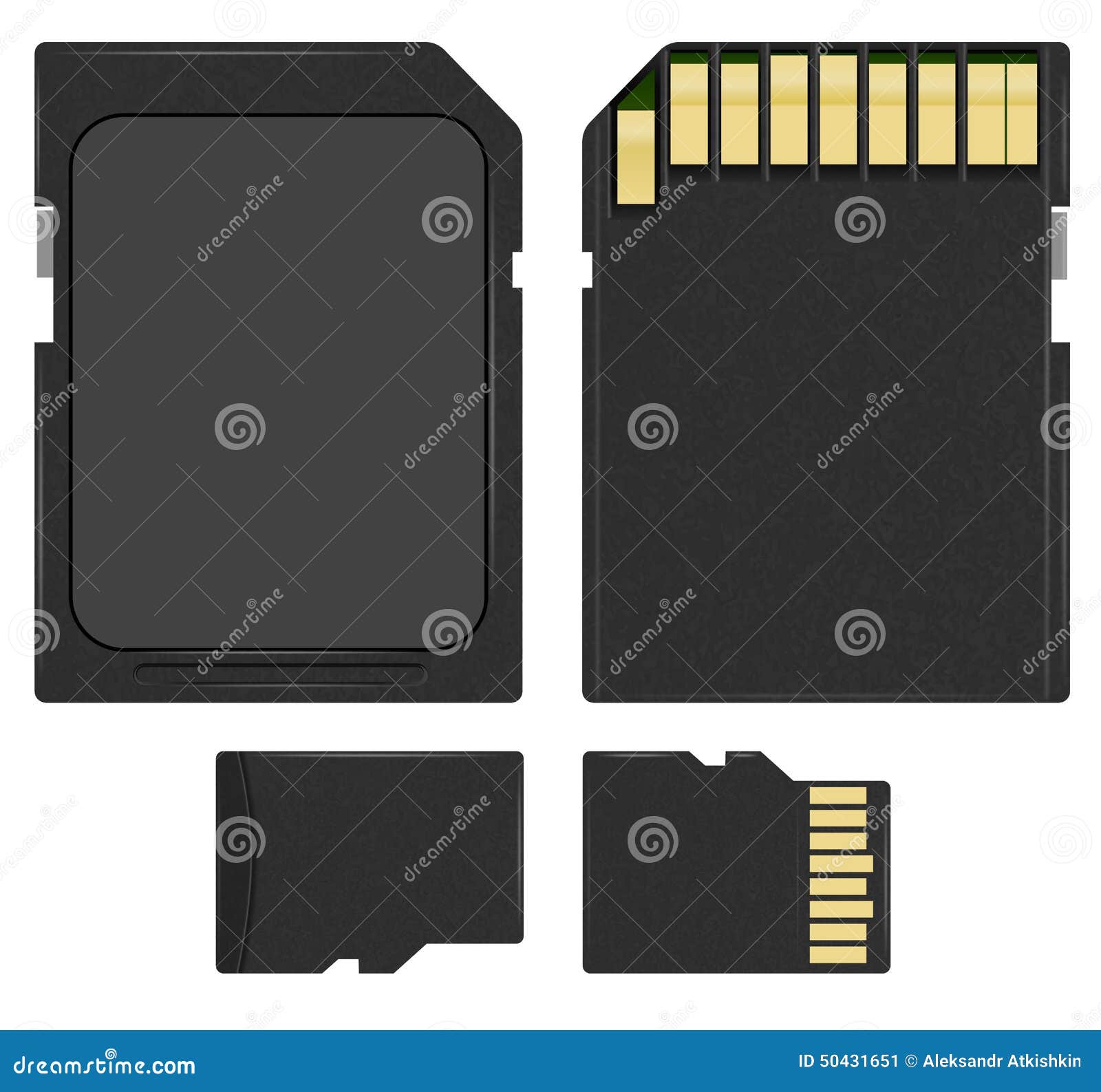 Vector photorealistic карточки иллюстрация SD и MicroSD, изолированная на б...