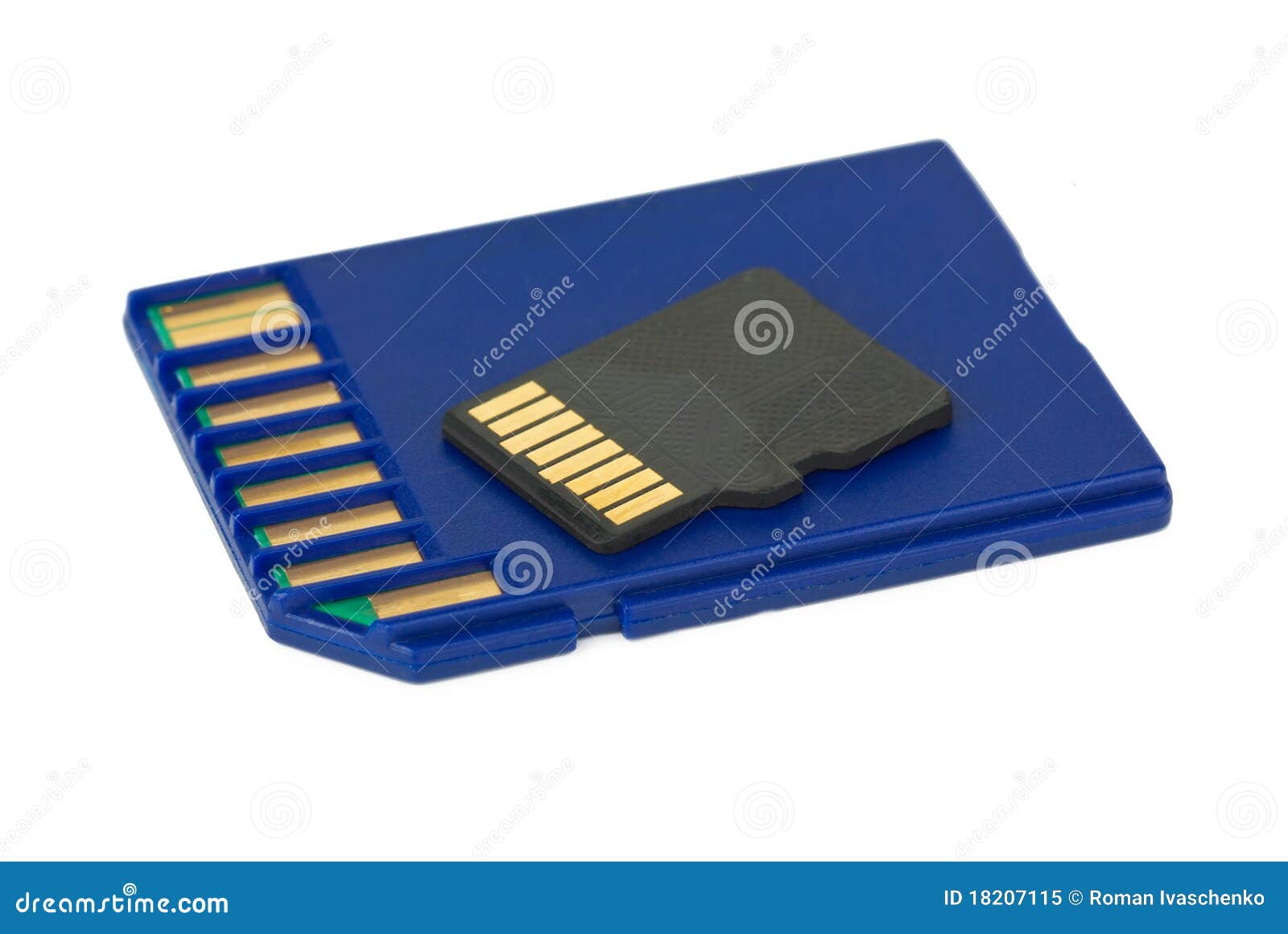 SD and MicroSD cards stock image. Image of tiny, information 18207115