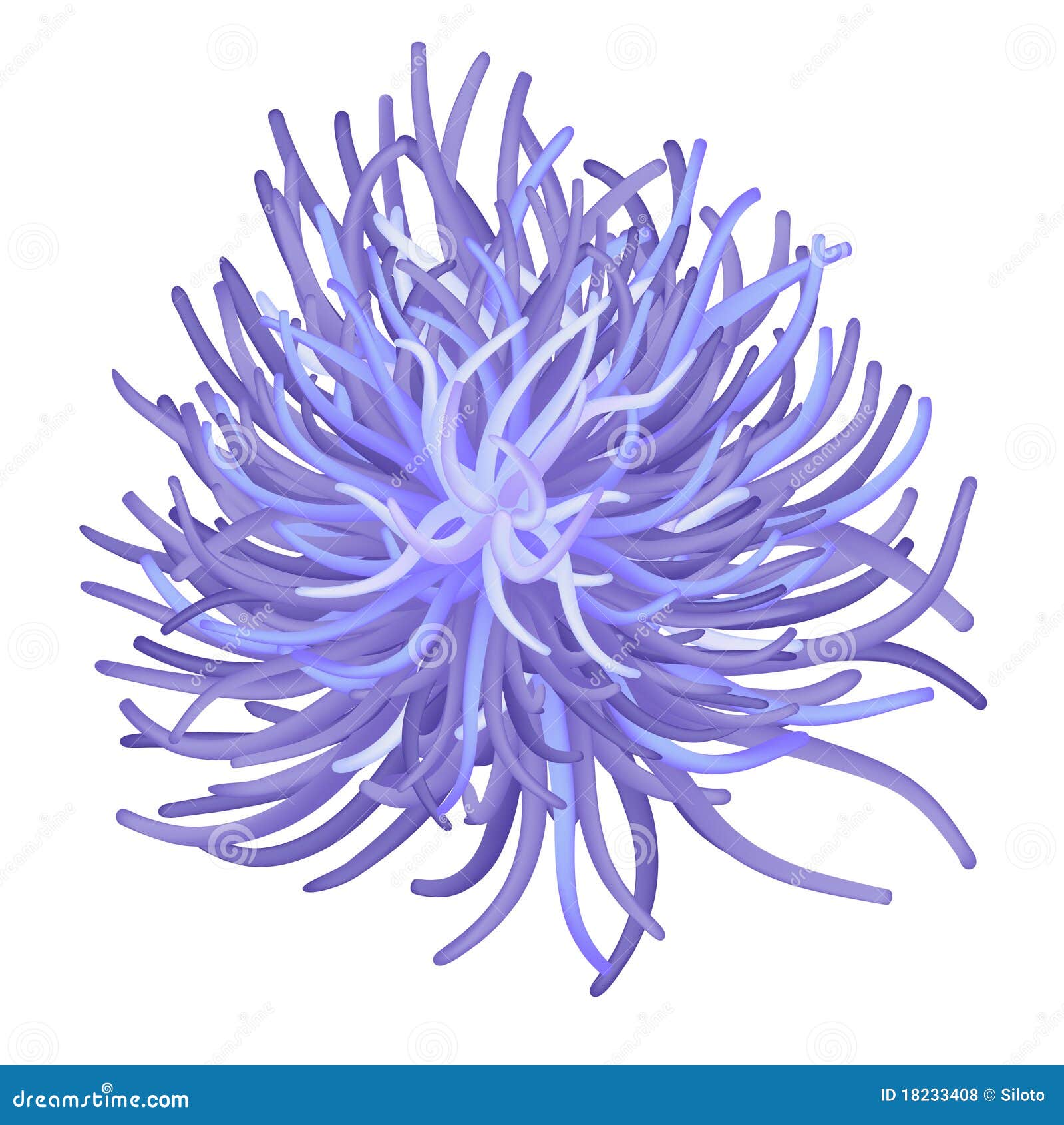 Anemone Sea Stock Illustrations 2 202 Anemone Sea Stock Illustrations Vectors Clipart Dreamstime